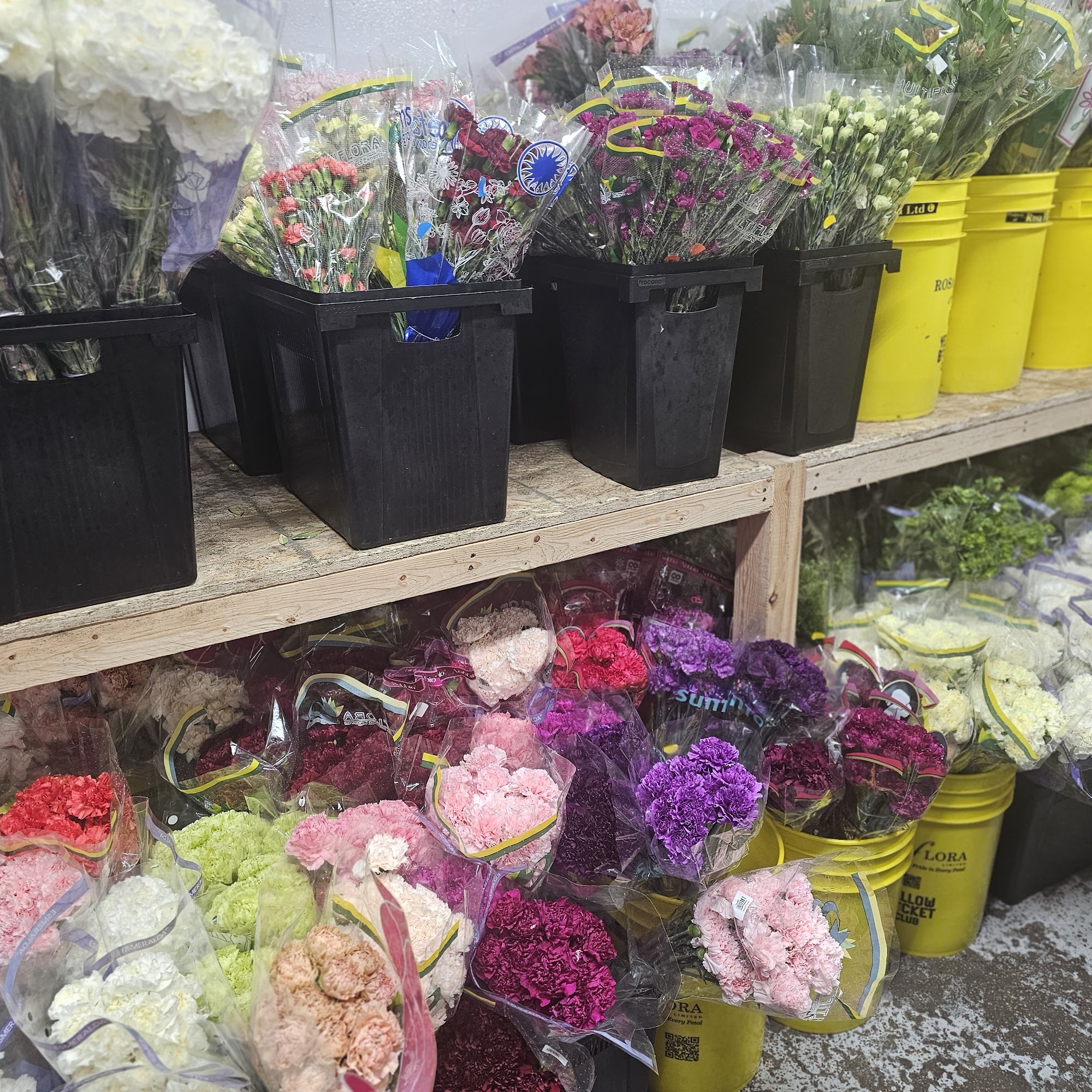 CD Wholesale Flowers West