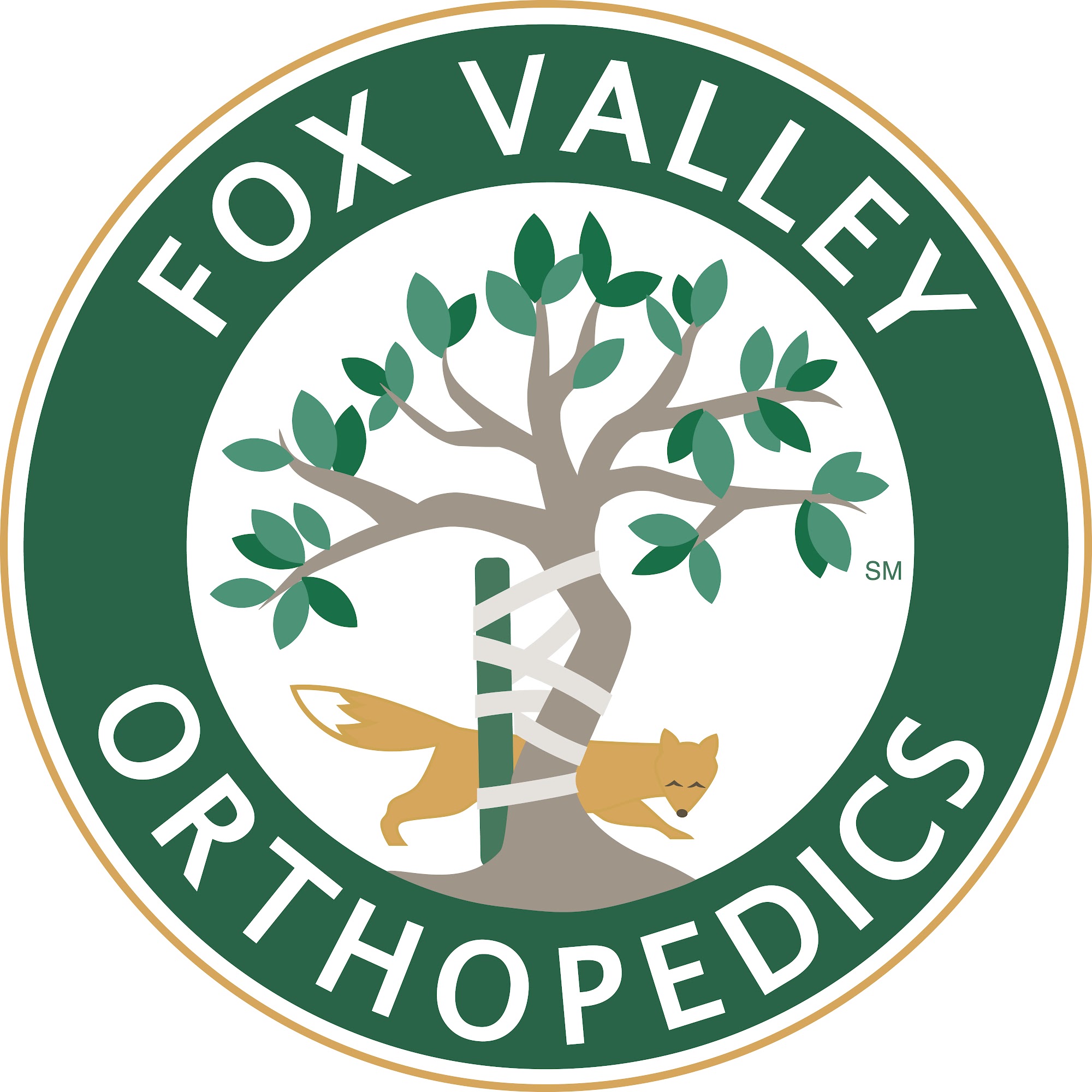 Fox Valley Orthopedics Physical Therapy - Aurora