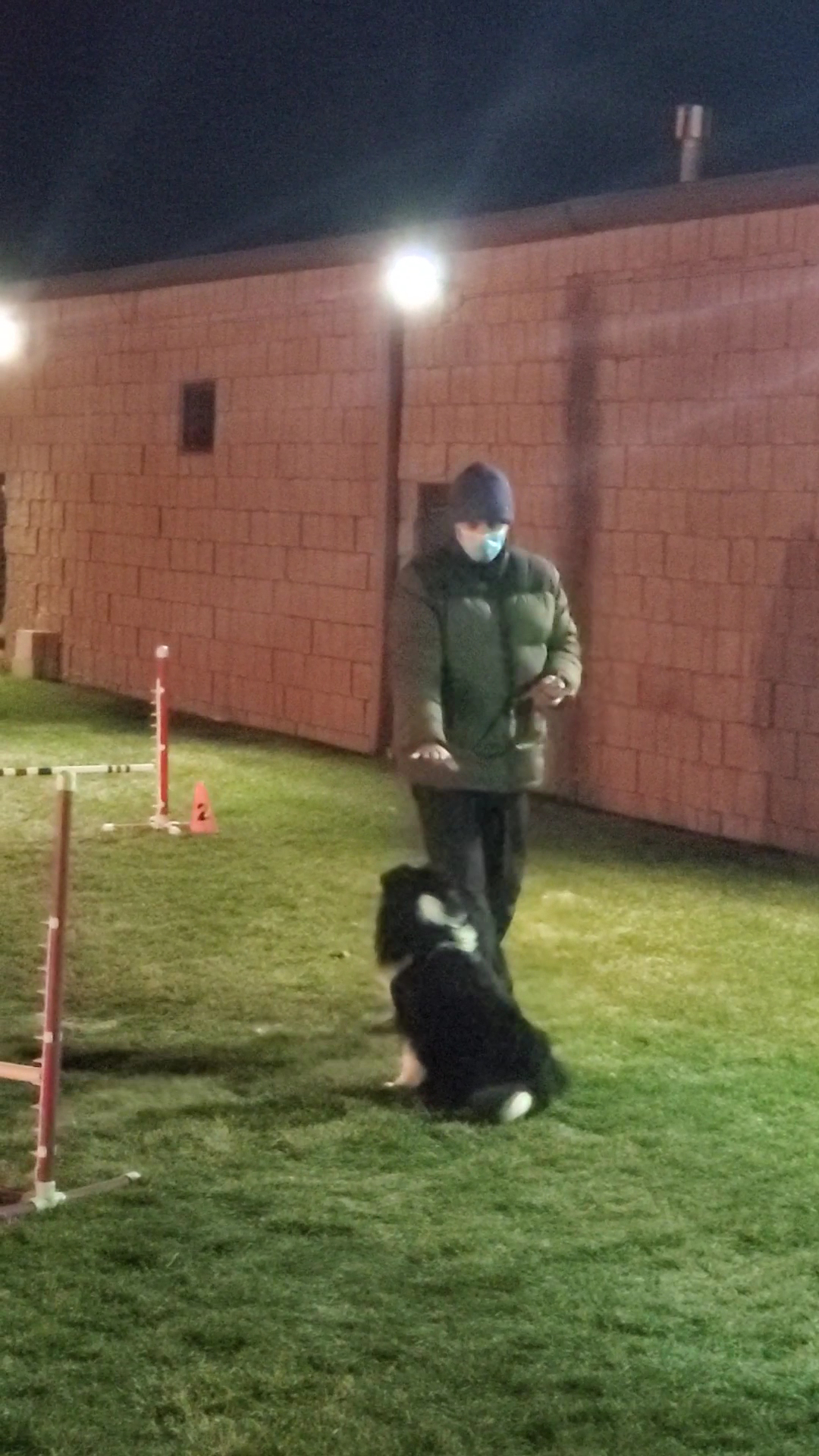 Agility Junkies Barrington