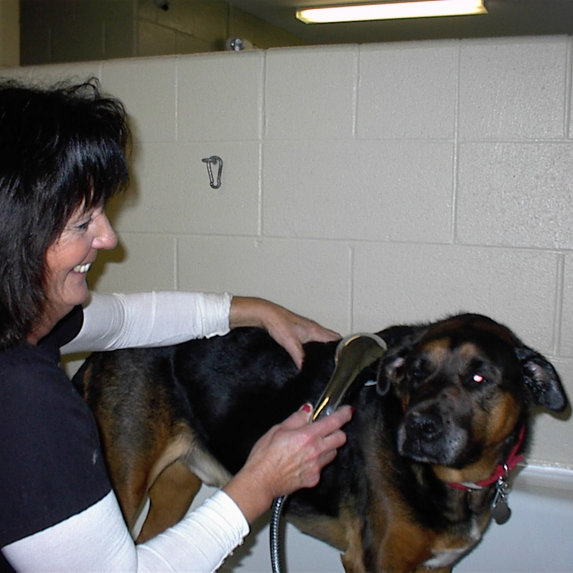 Heartland Animal Hospital, P.C. Bartlett