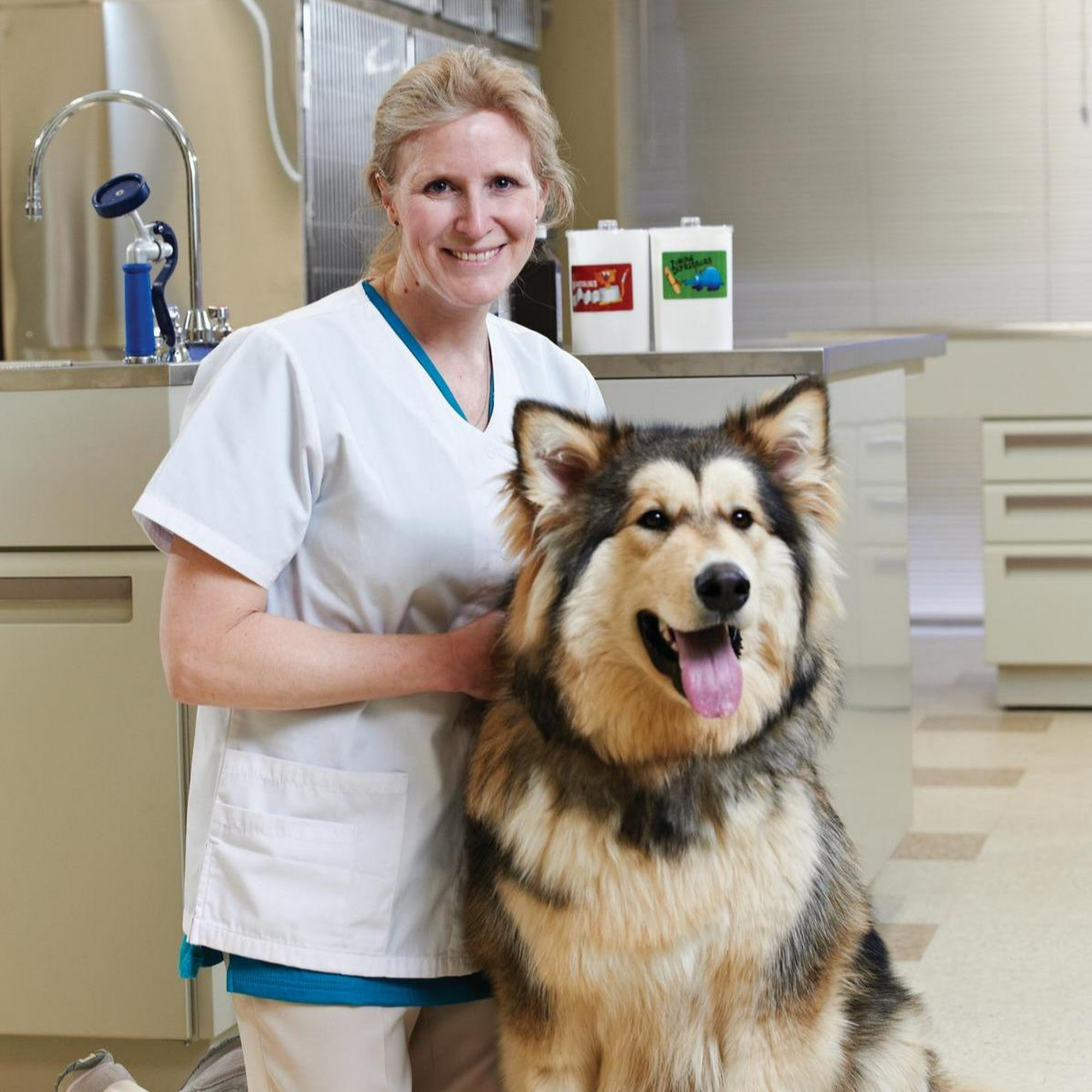 Army Trail Animal Hospital LLC Bartlett