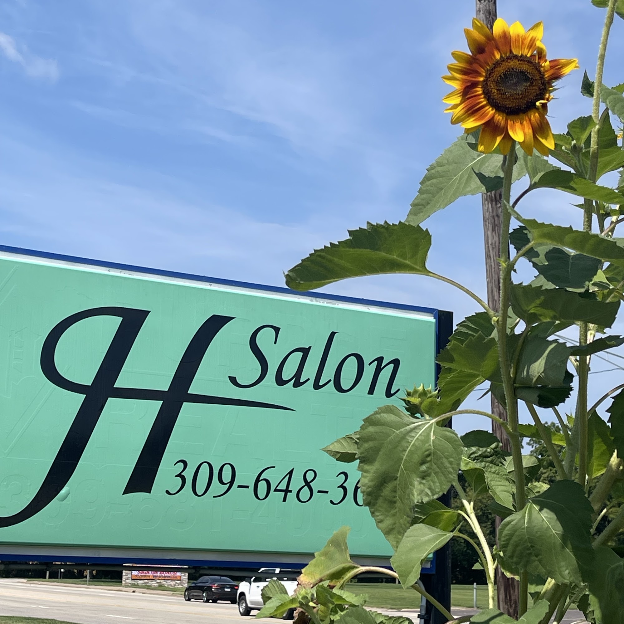 Ricca Heating & Cooling