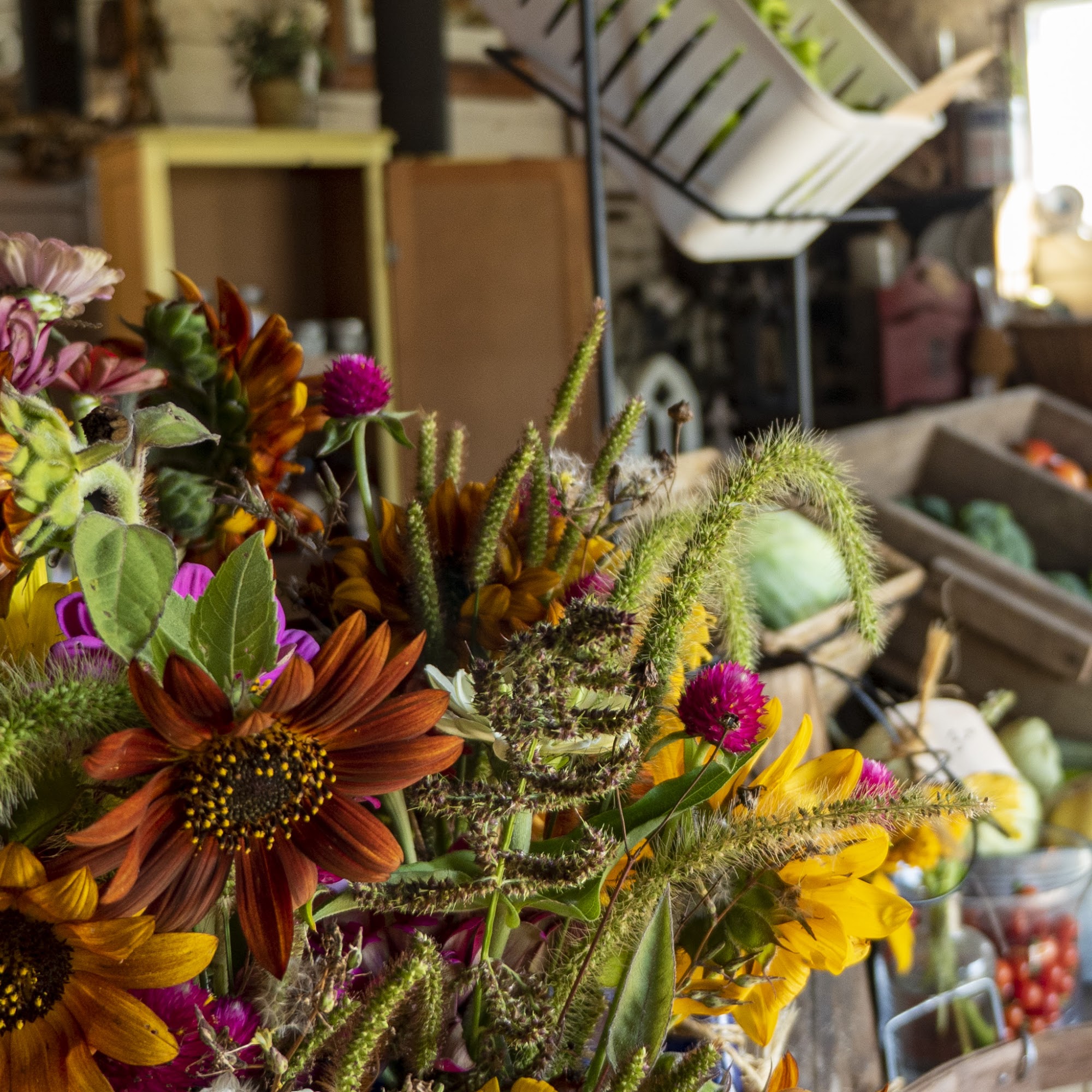 Tulip Tree Gardens Farm Beecher