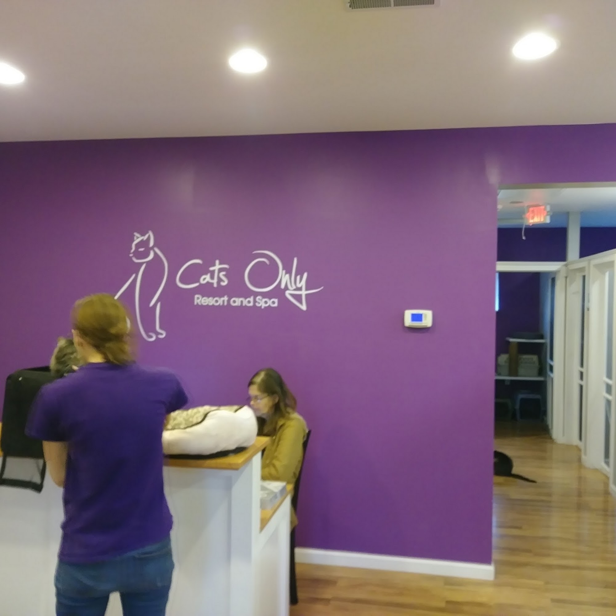 Cats Only Resort & Spa Belleville