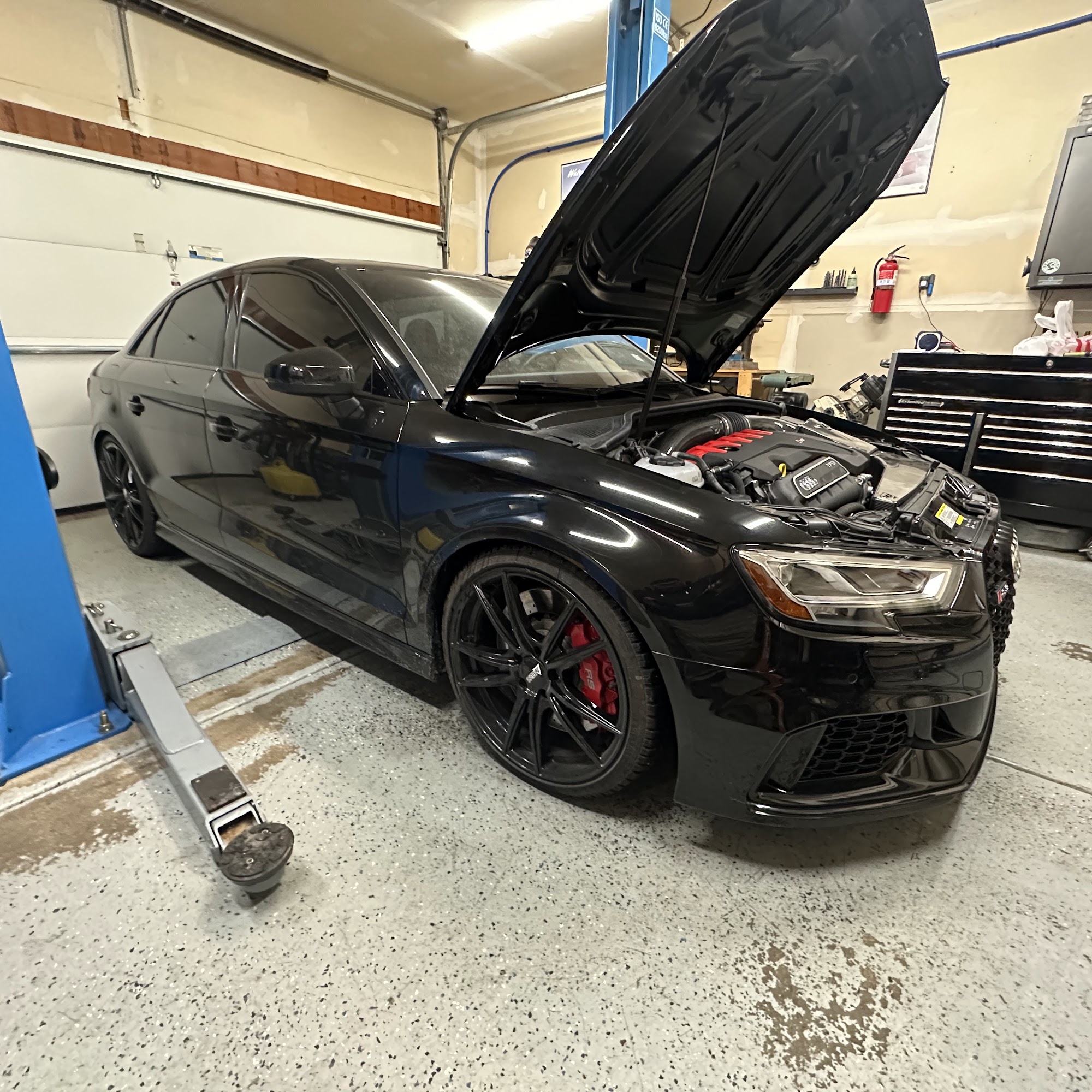 Hardcore Euro Belvidere