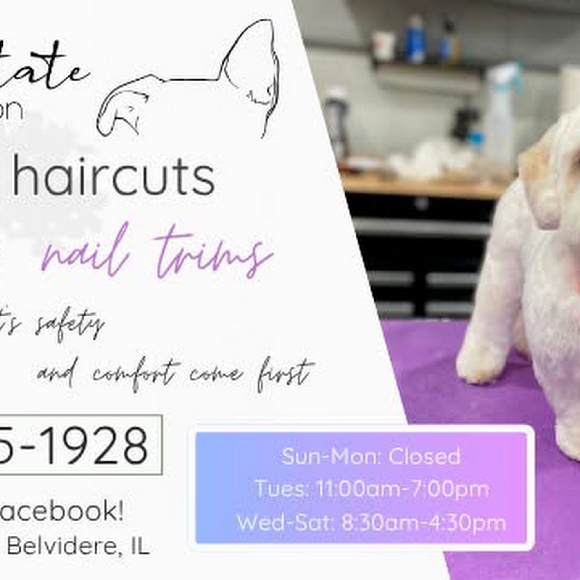 Paws on State Pet Salon, LLC 134 N State St, Belvidere Illinois 61008