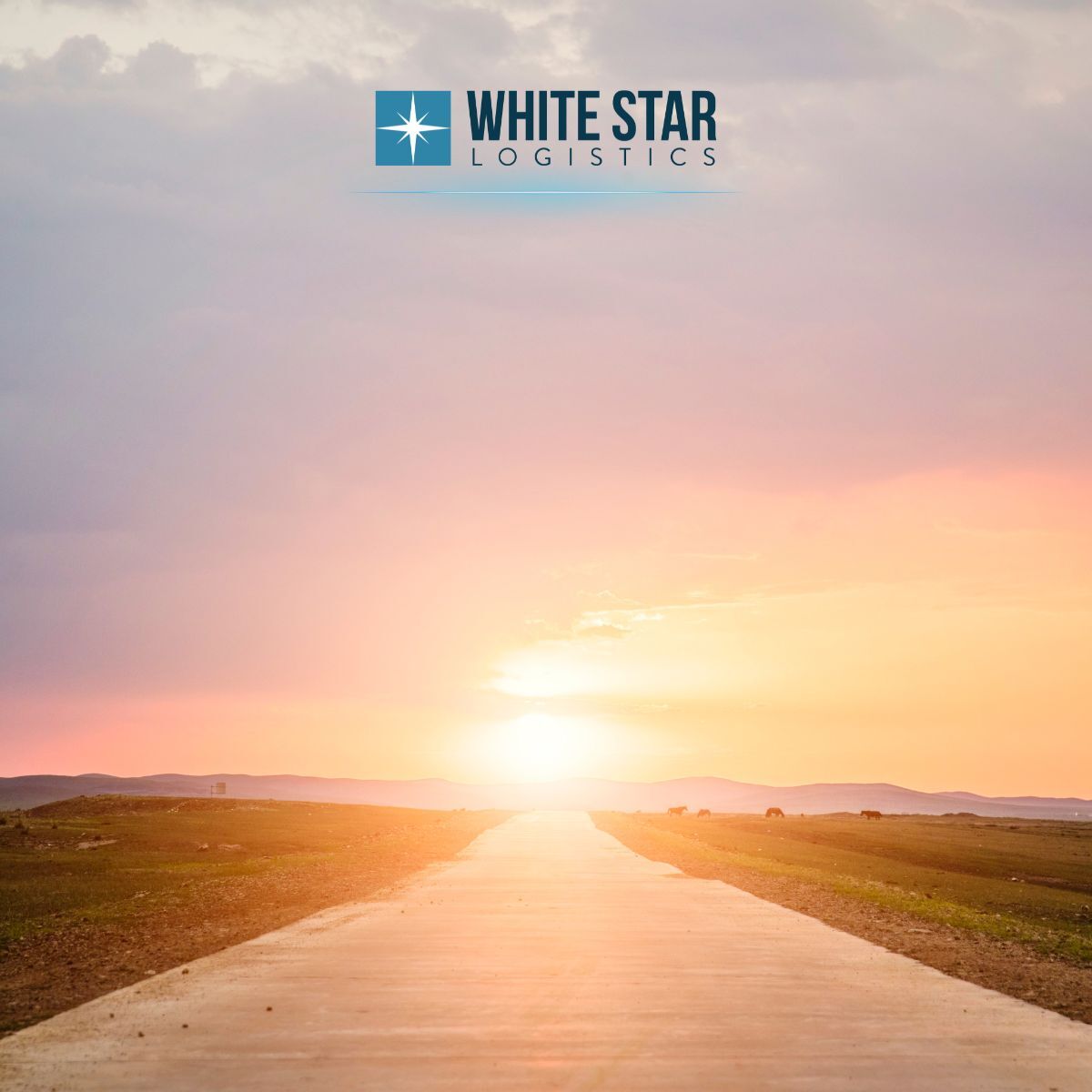 White Star Transport