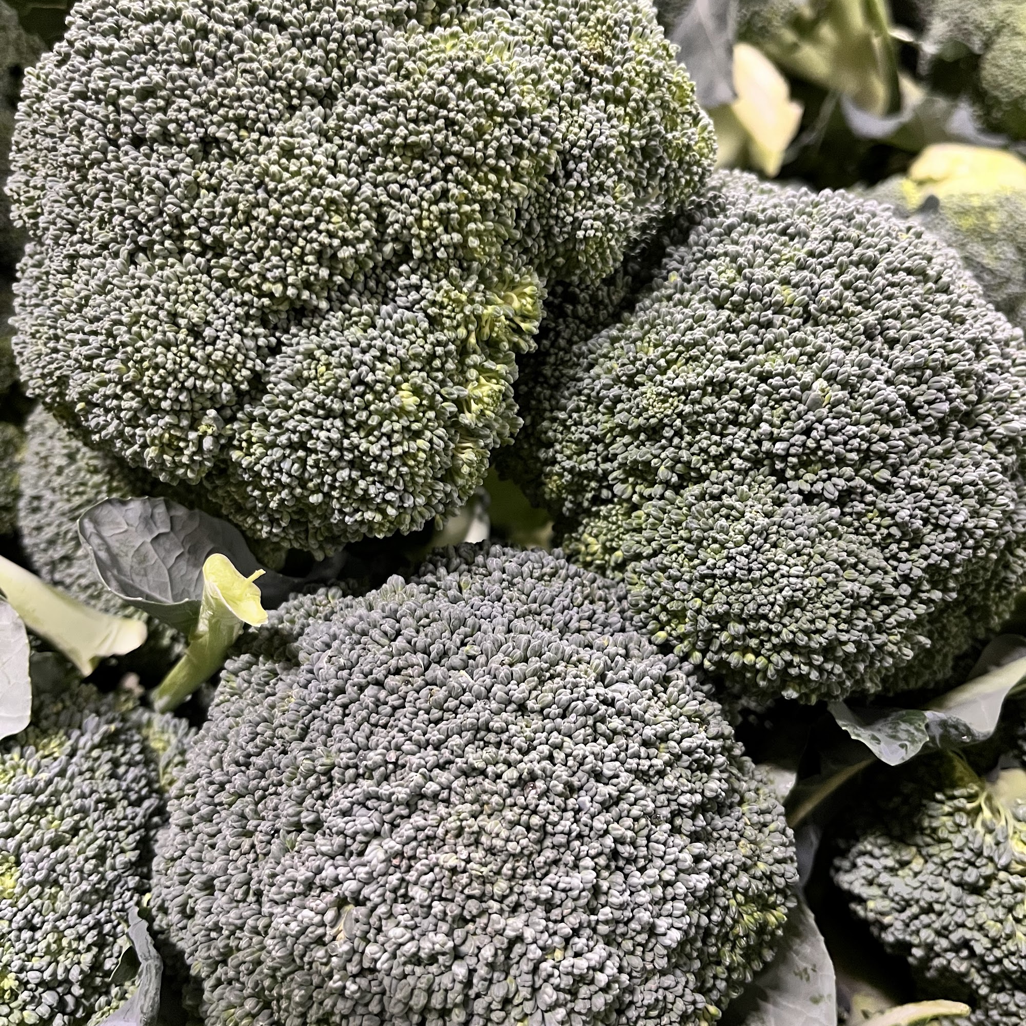 Farmstead Foods Benton