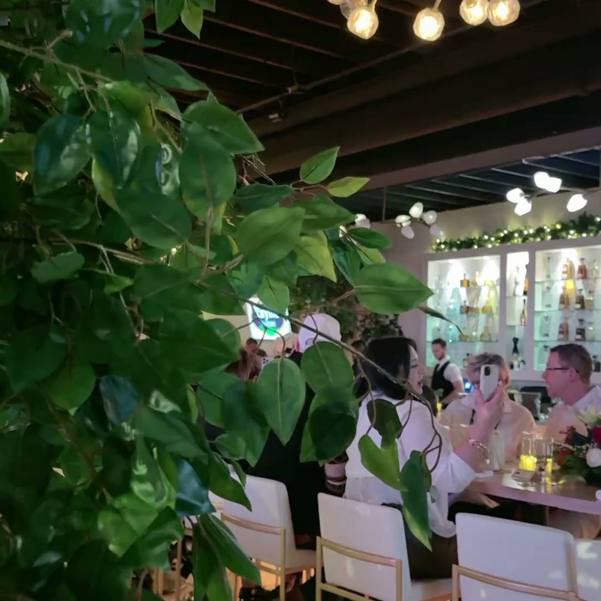 Jardín GastroBar Berwyn