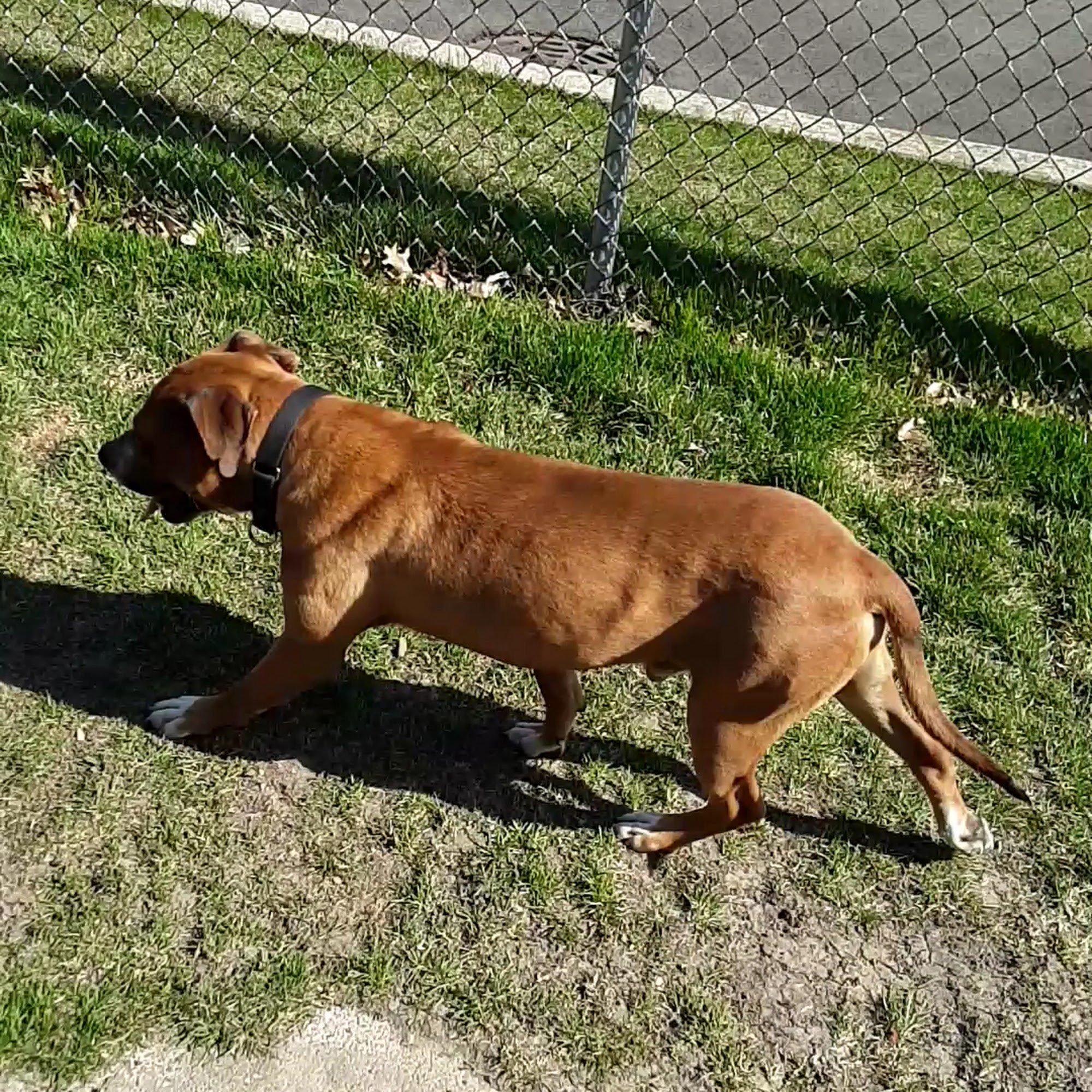 Almost Home Foundation Bloomingdale