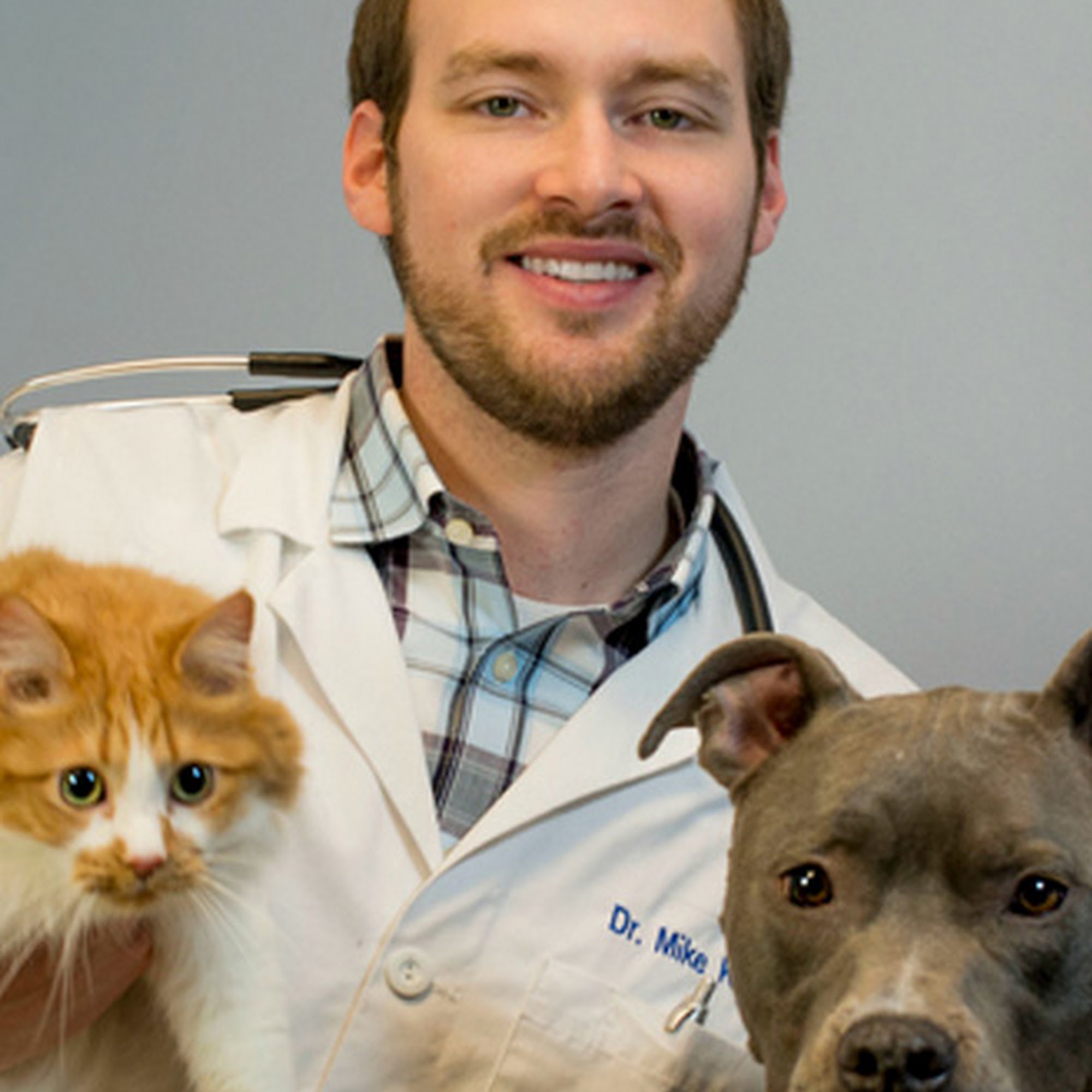 Boughton Square Animal Clinic Bolingbrook