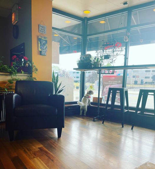 Gosia's Coffee Shop Brookfield