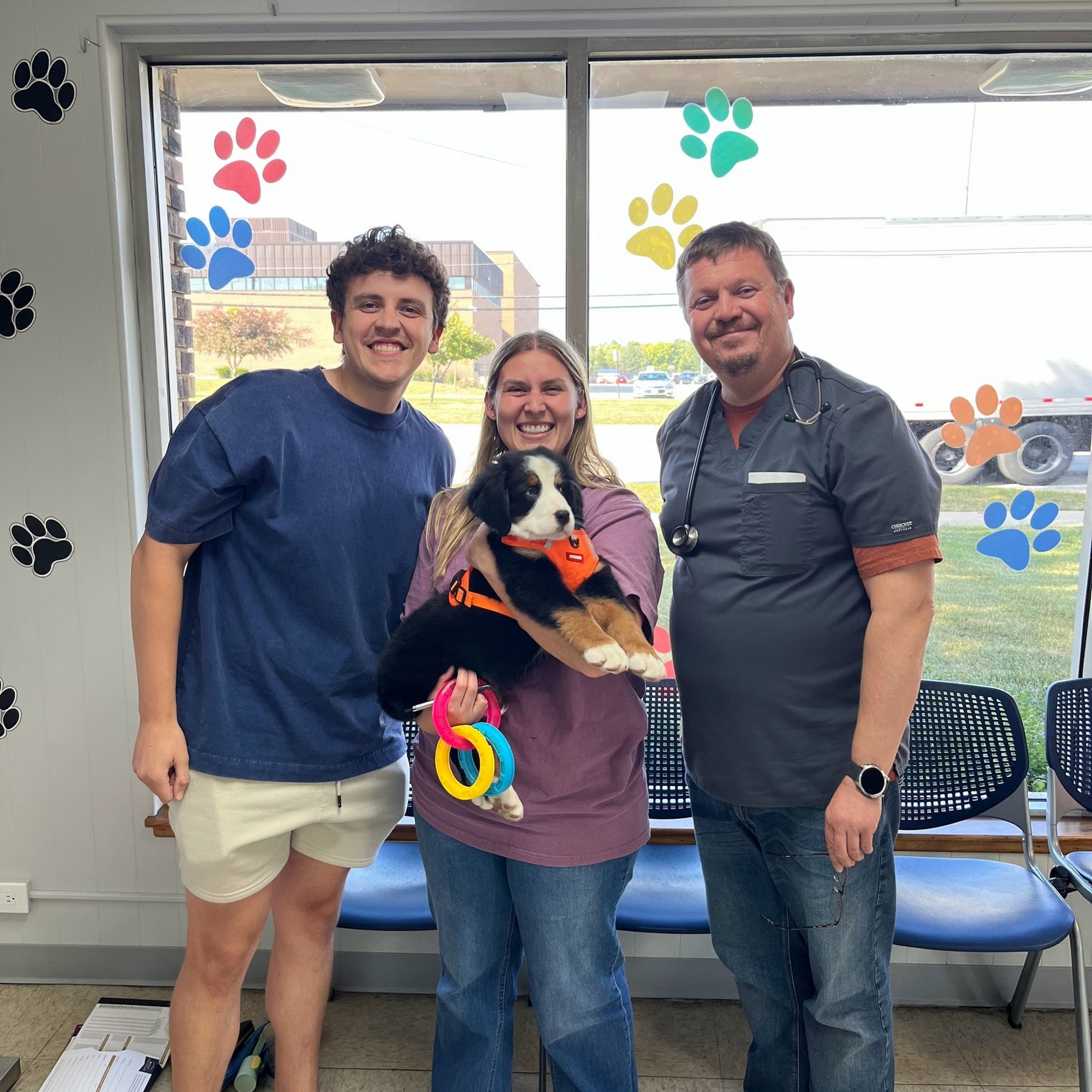 Buffalo Grove Animal Hospital Buffalo Grove