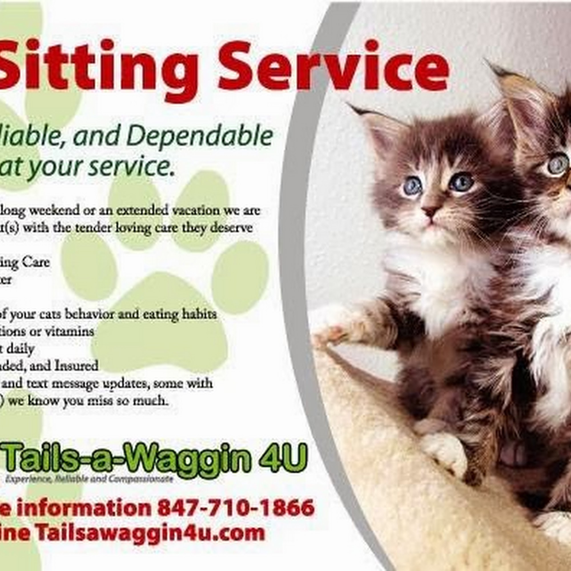 Tails-a-Waggin 4U Buffalo Grove