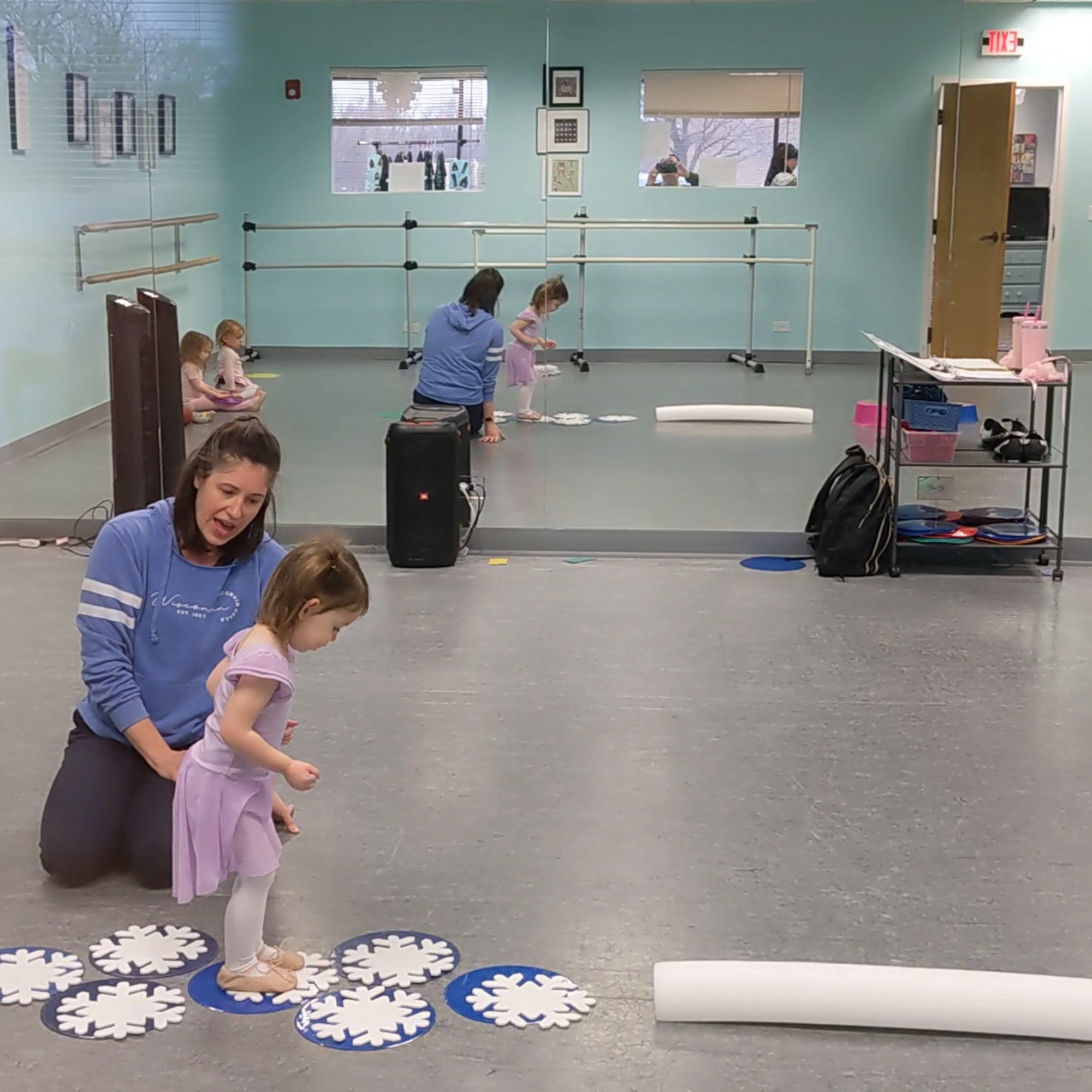 Movement & Sound Dance LLC 1388 Busch Pkwy, Buffalo Grove Illinois 60089