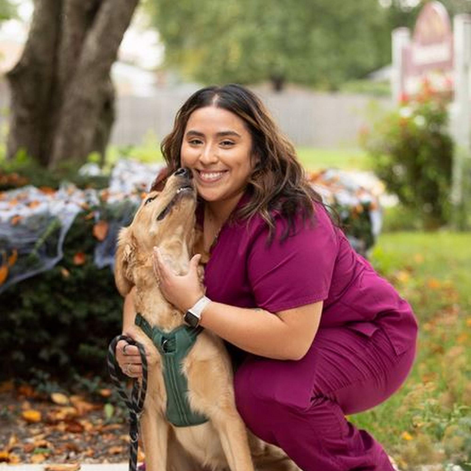 Homestead Animal Hospital Burbank