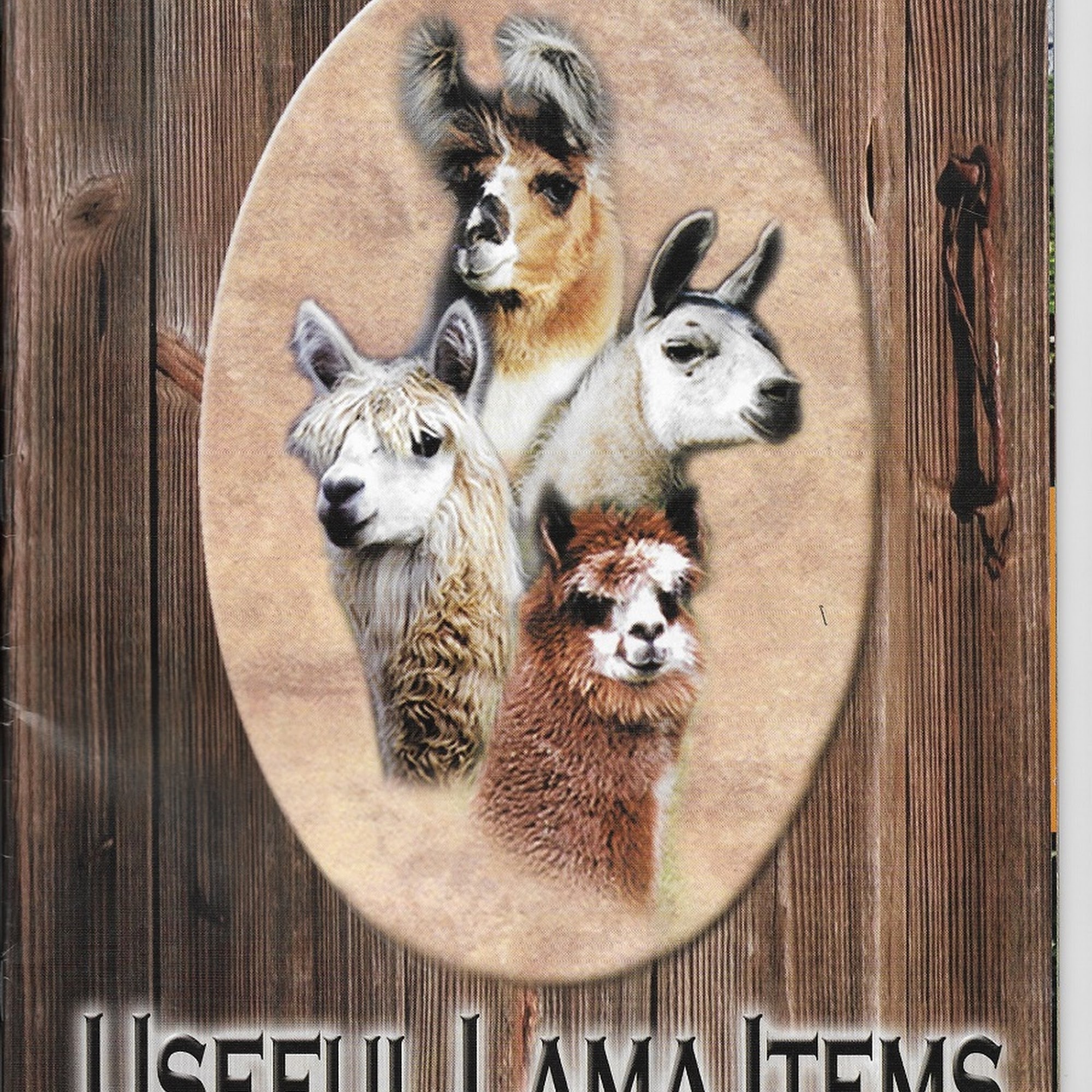 Useful Lama Items Byron