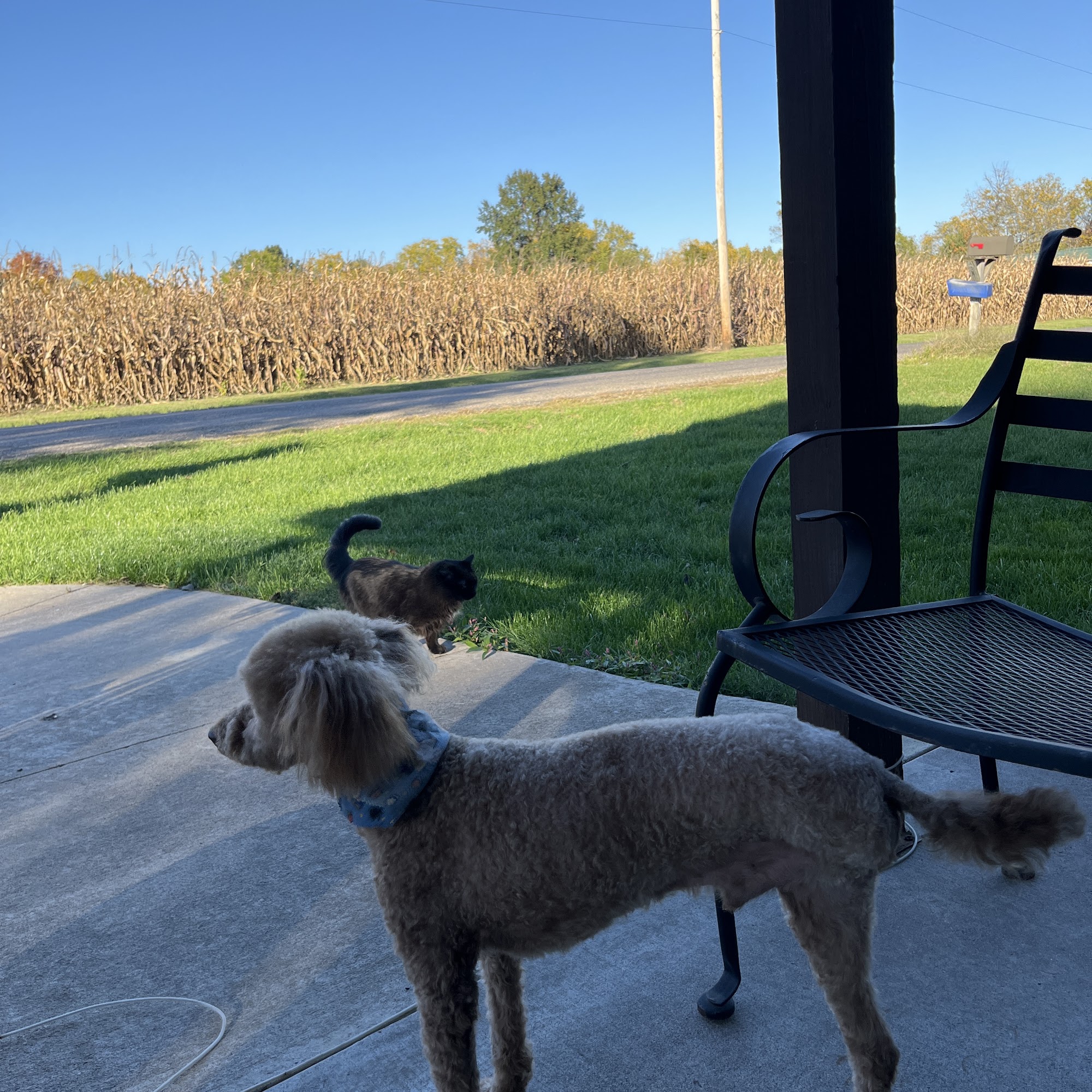 Oakdale Veterinary Center Canton