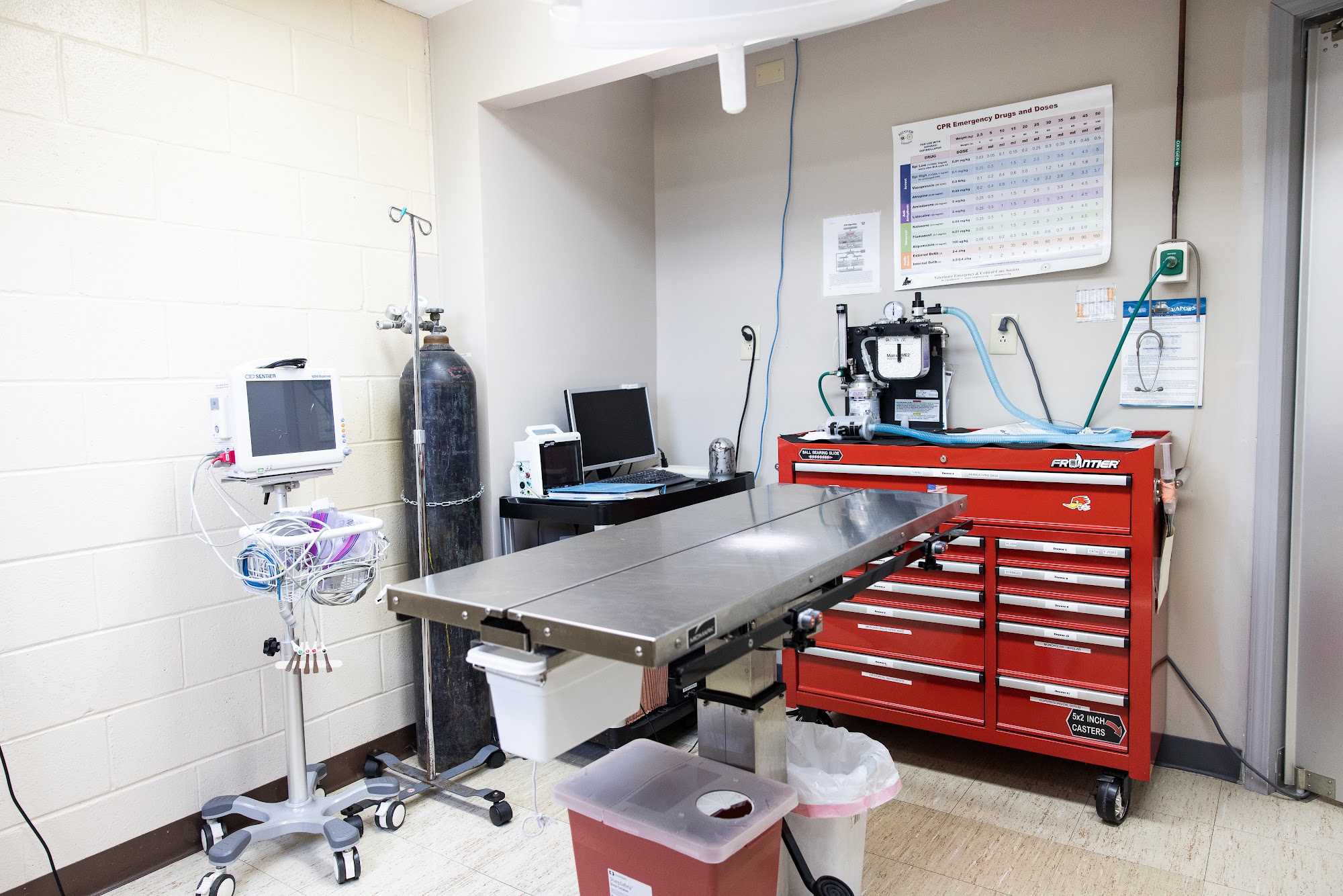 Lakeside Veterinary Hospital Carbondale