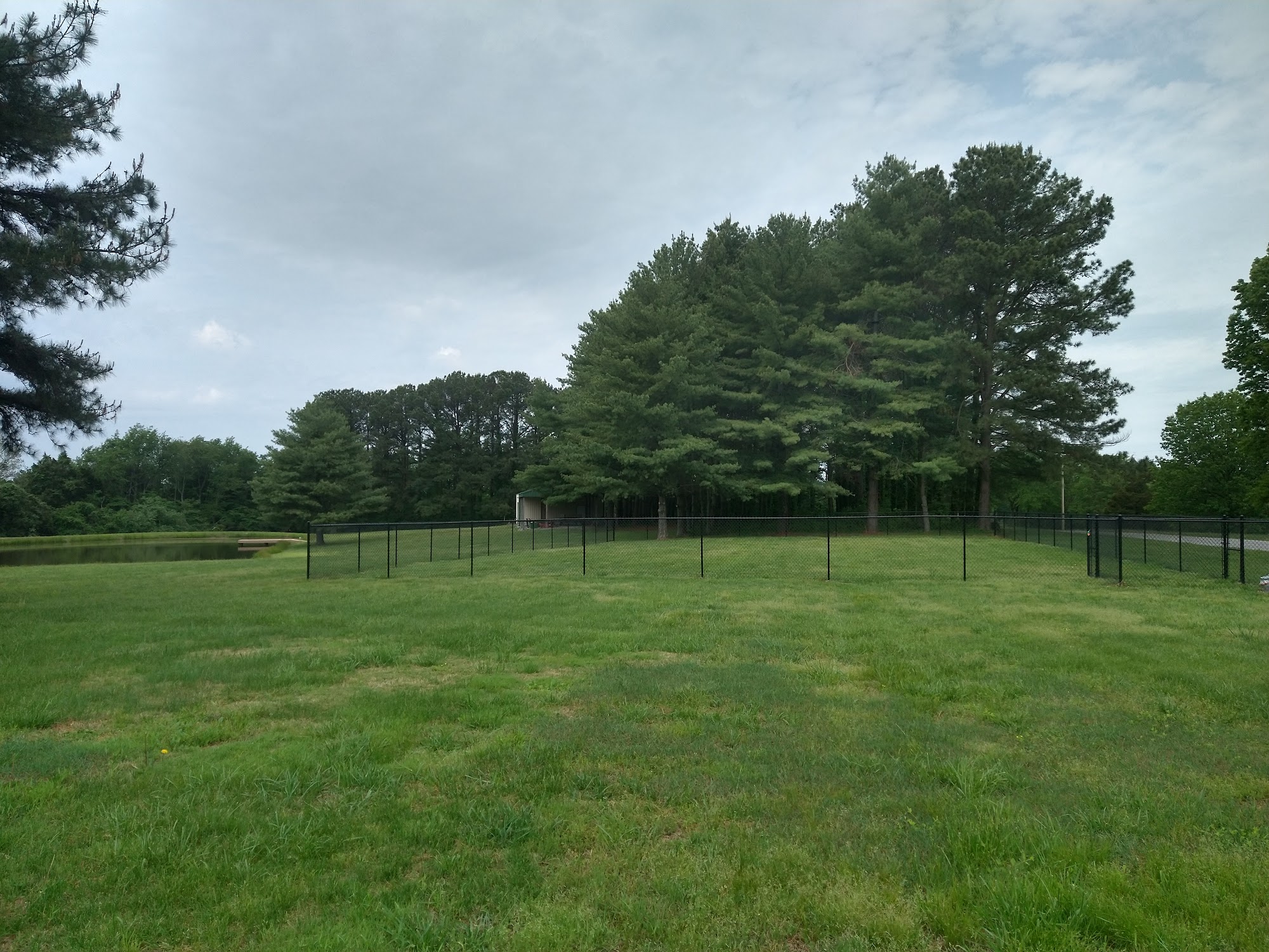 Extreme K-9 Carbondale