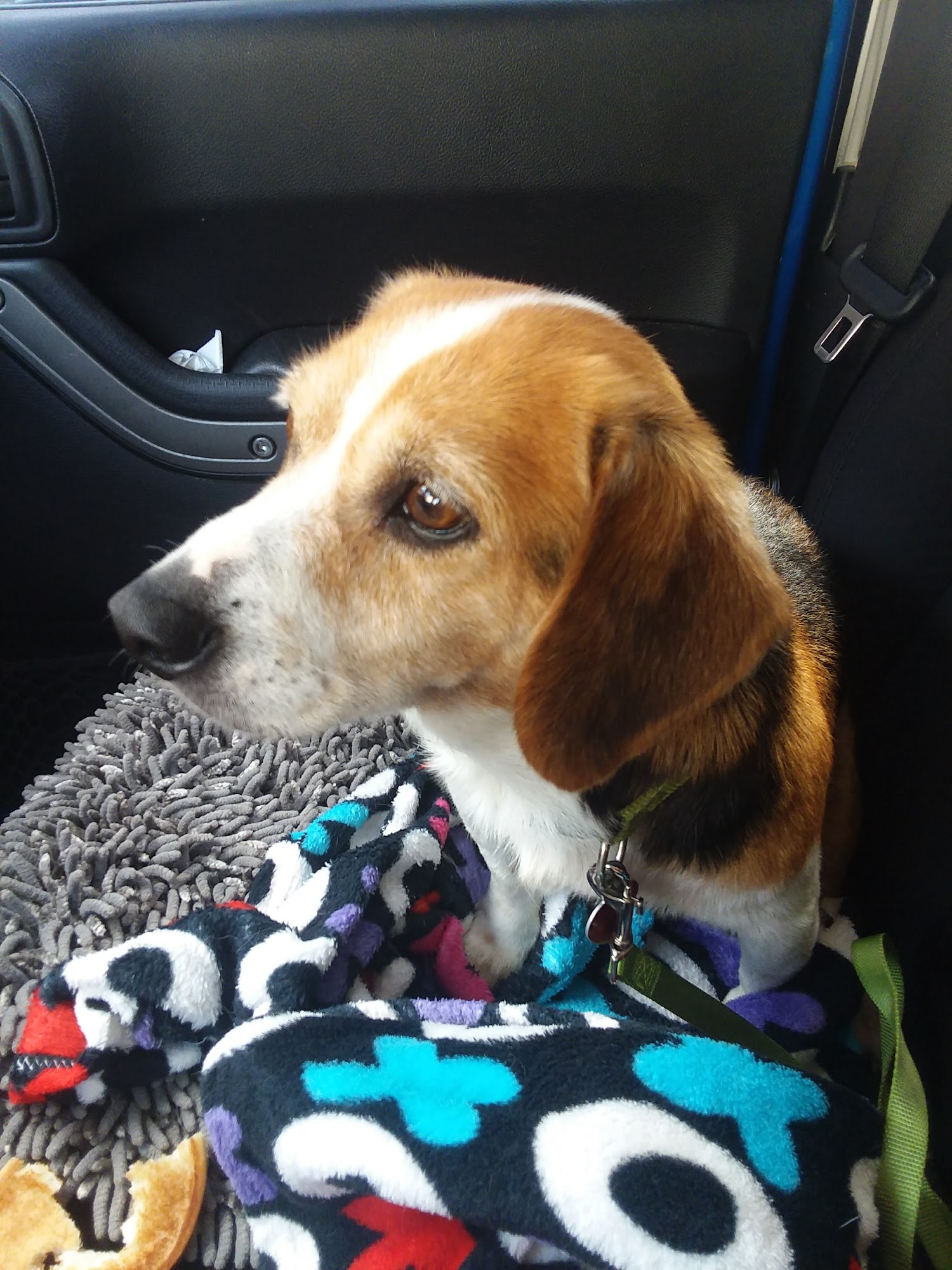 Carmi Veterinary Clinic Carmi