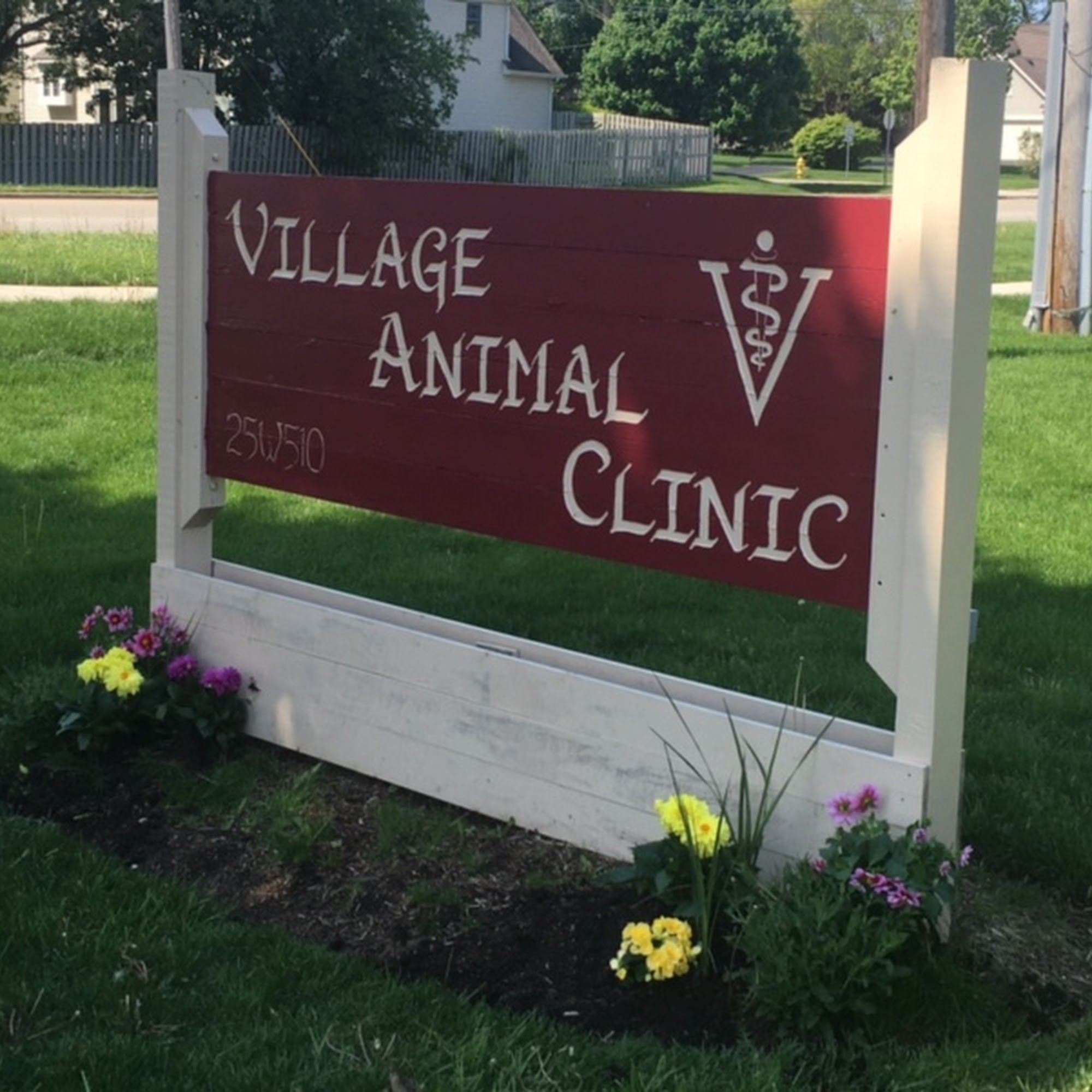 Village Animal Clinic Carol Stream
