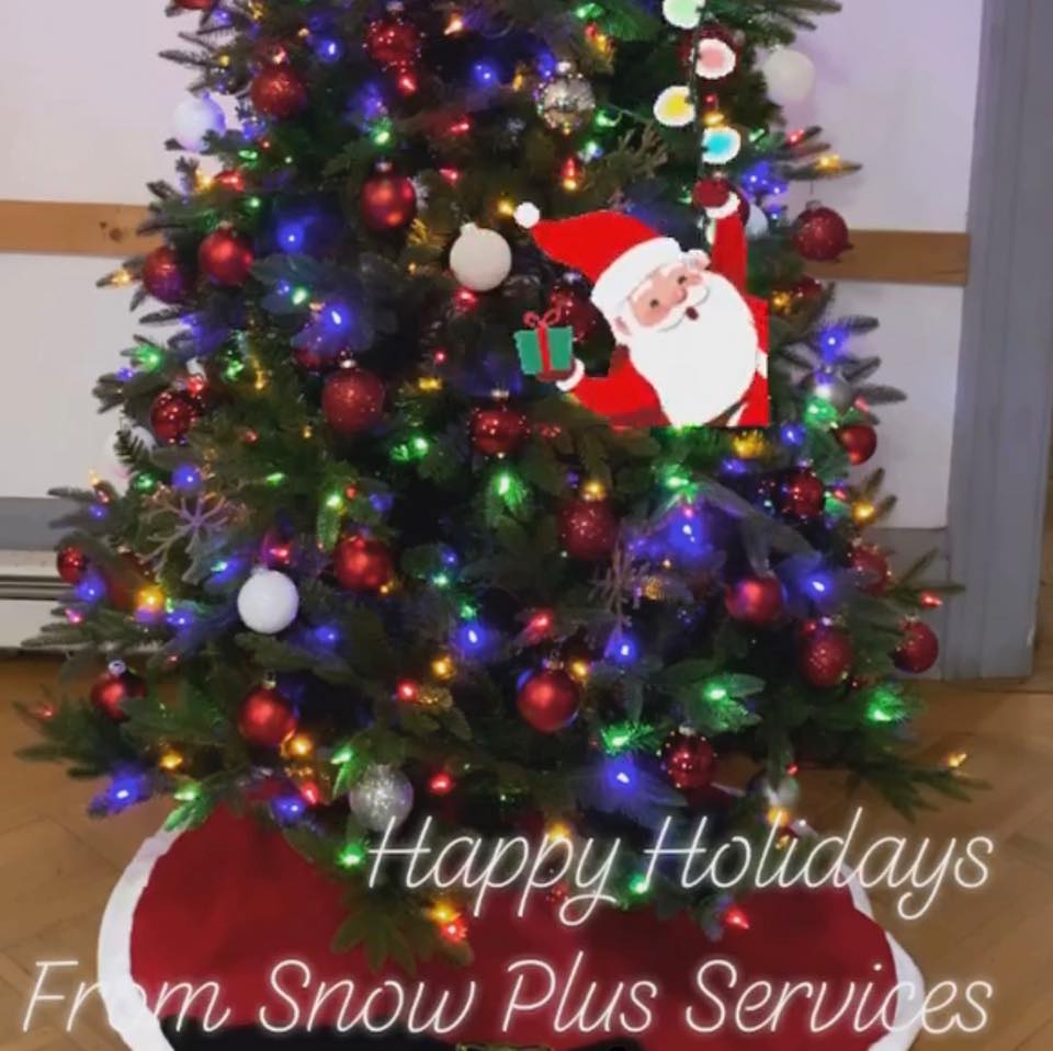 Winter Services - Carol Stream, IL