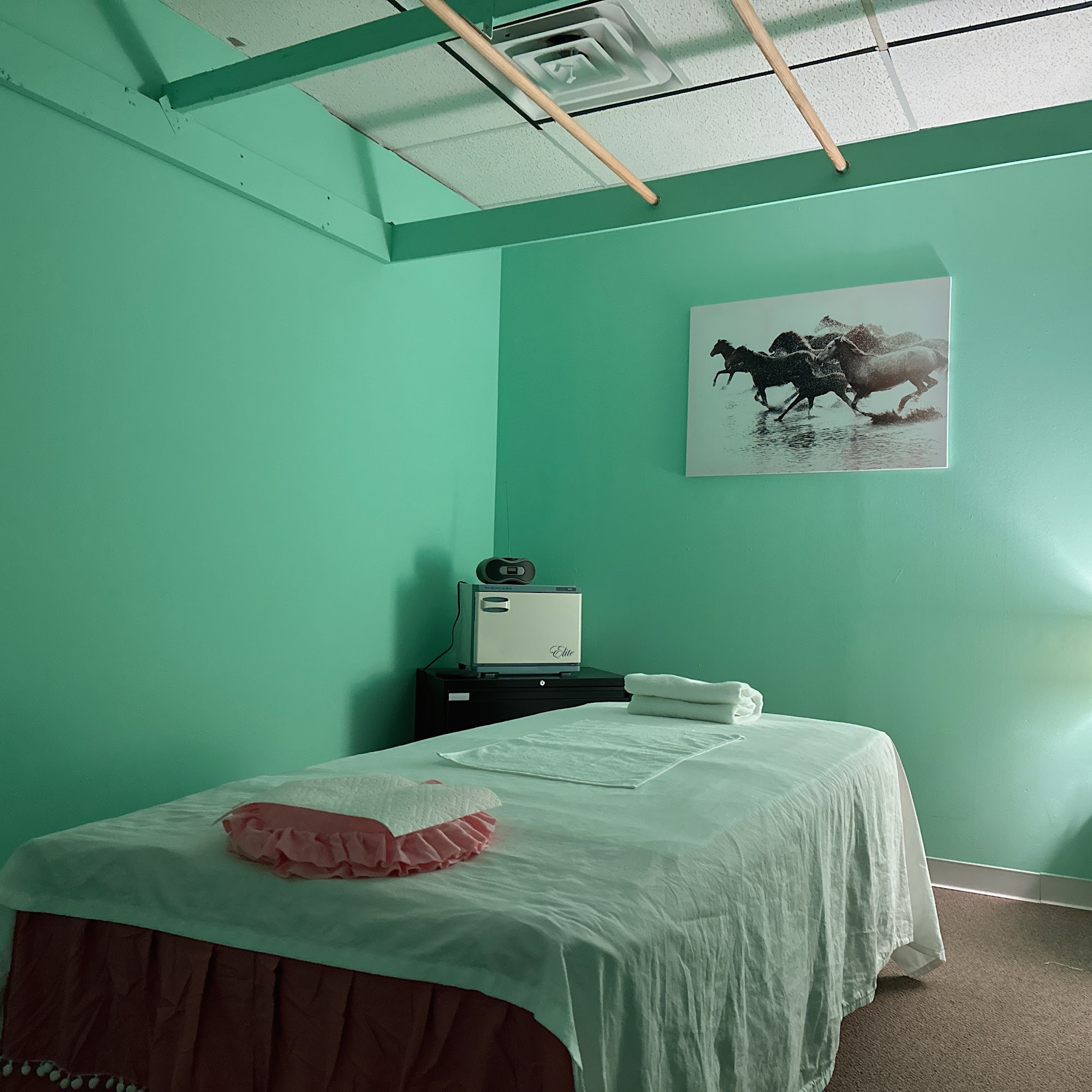 NEW ASIAN SPA 383 N Gary Ave, Carol Stream Illinois 60188