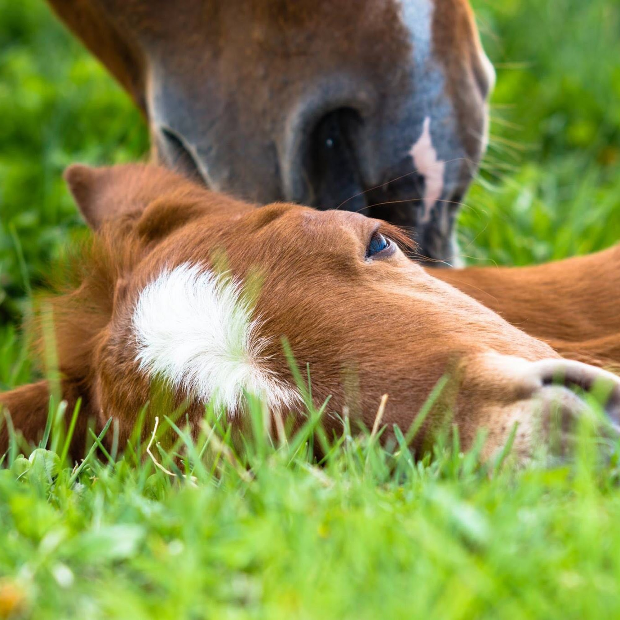 Crooked Creek Winery | Farmstand 161 Centralia
