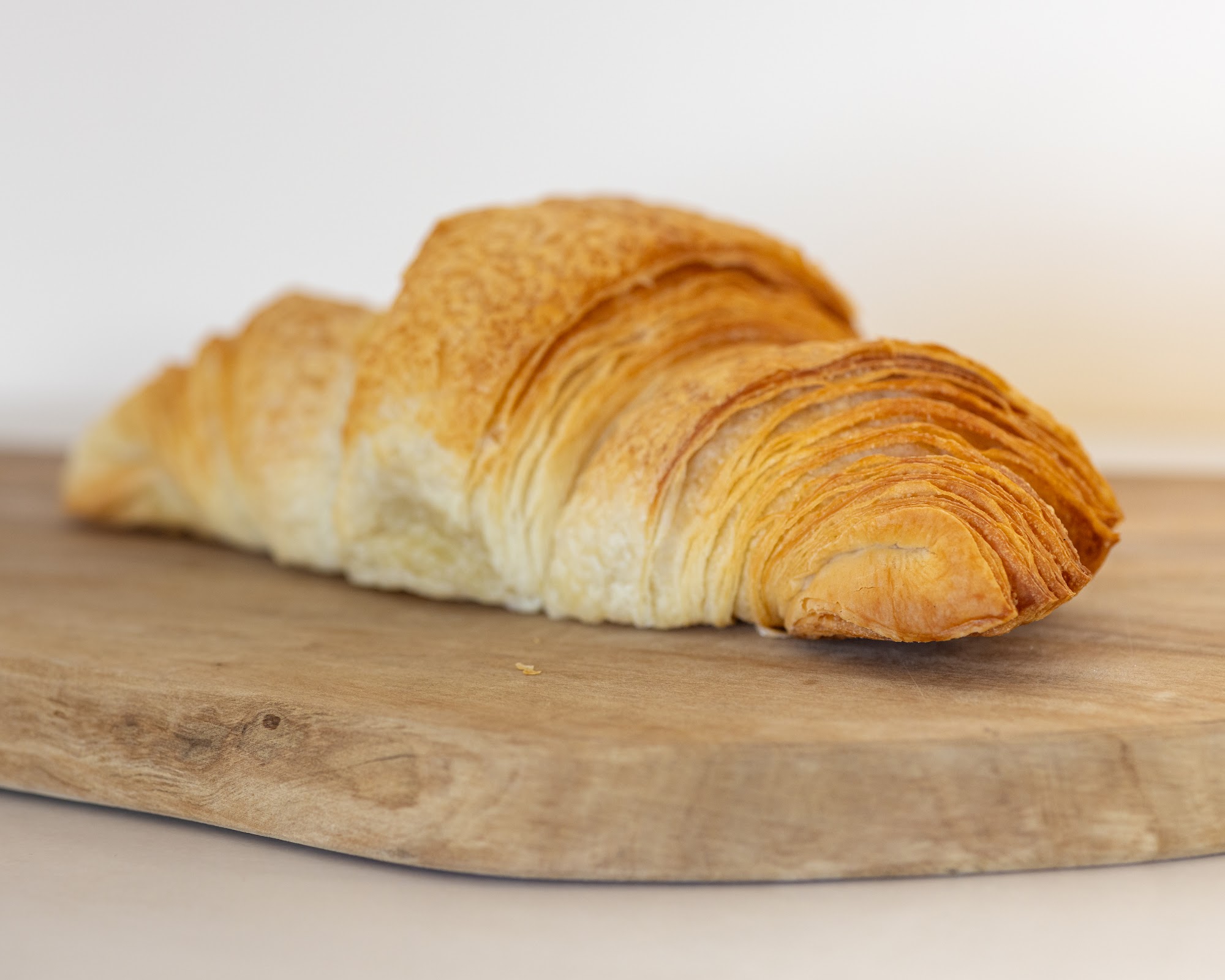 Espresso Royale Champaign