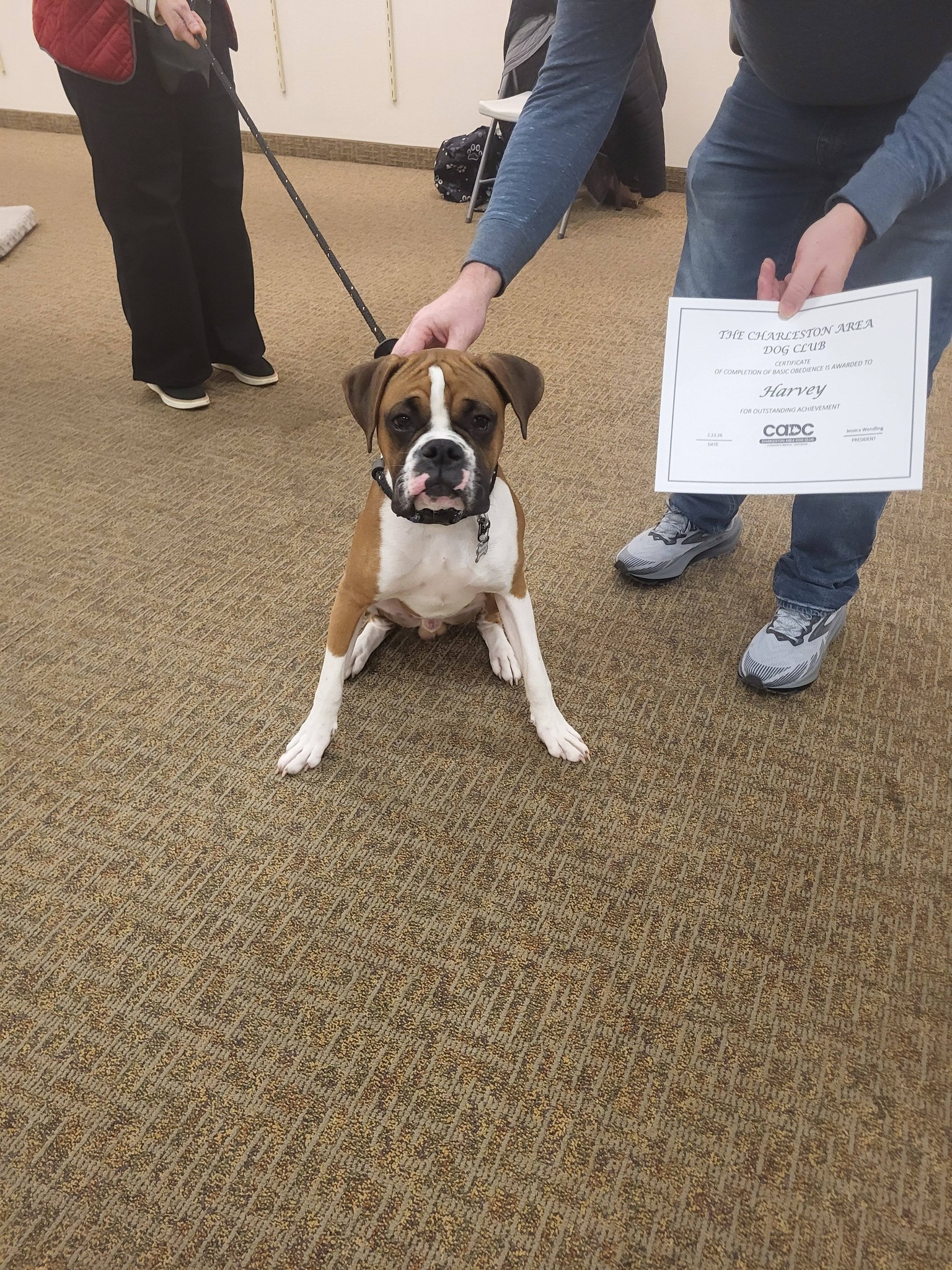 Charleston Puppy & Dog Training