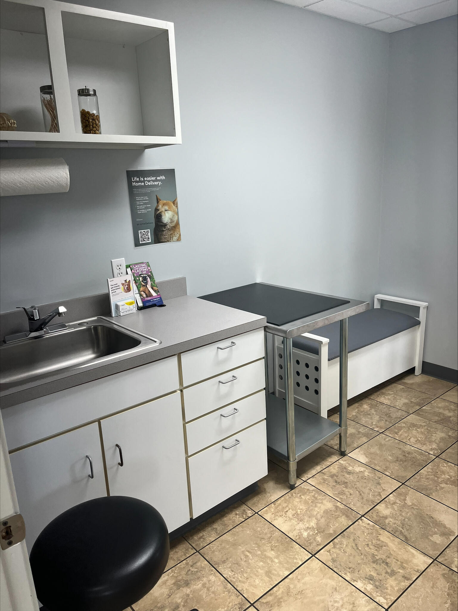 Andrea Rediger, DVM Chatham