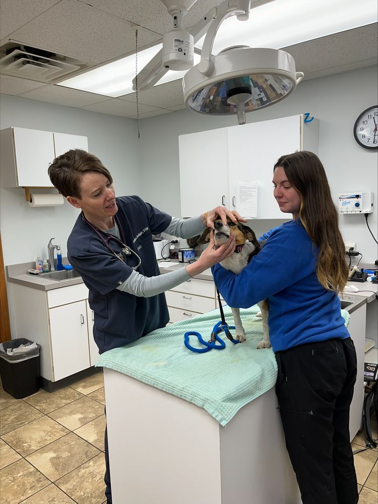 Village Veterinarian: Primm Nicholas DVM Chatham