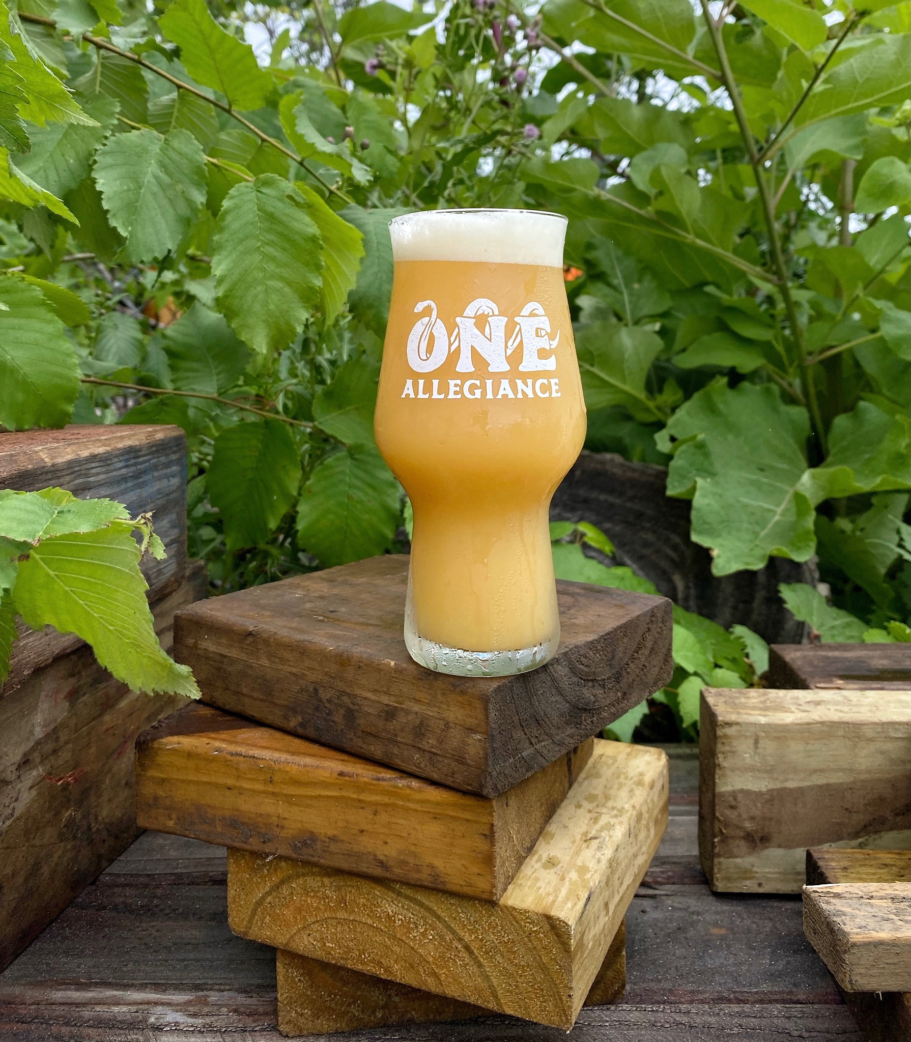 One Allegiance Brewing Chicago Ridge