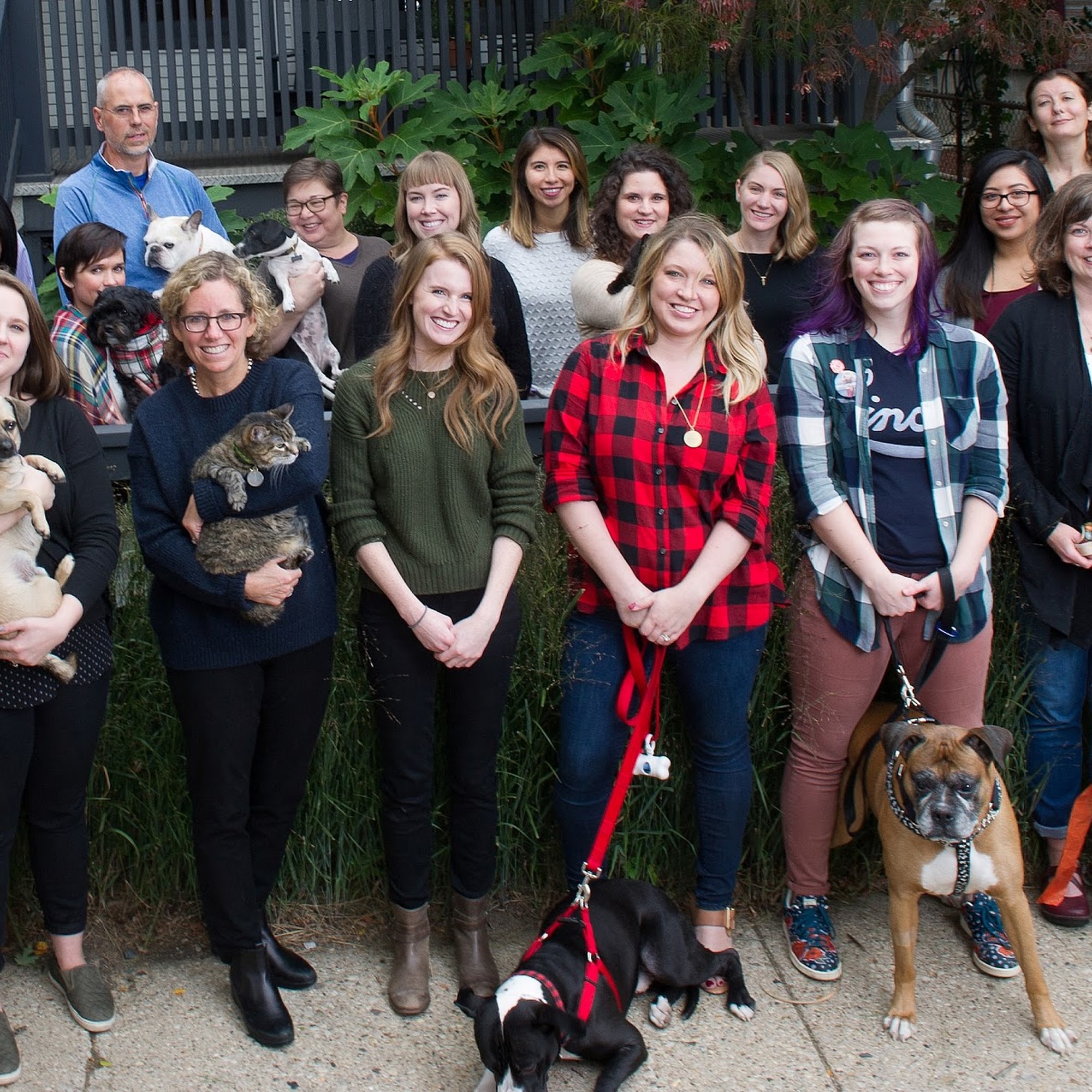 Animal Medical Center of Chicago Chicago