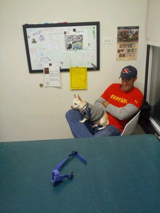 Animal Medical Center of Chicago Chicago