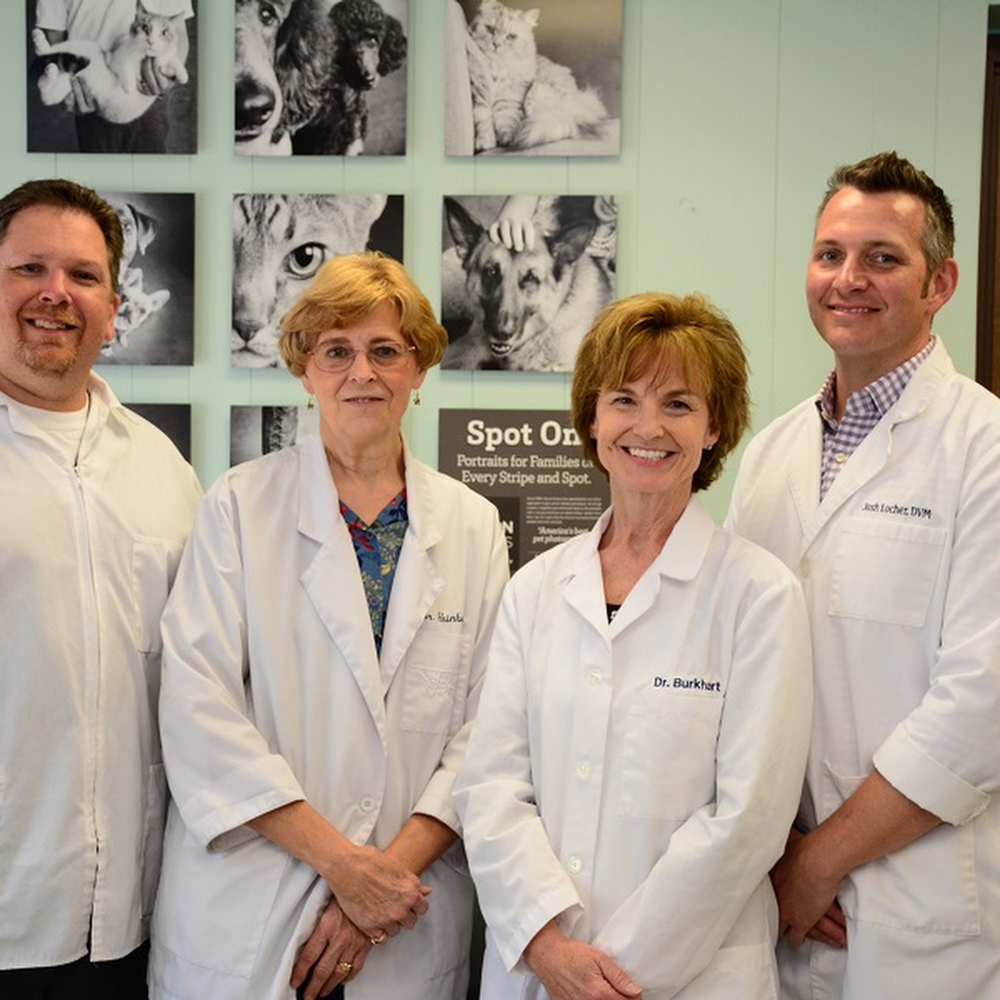 North Center Animal Hospital, A Thrive Pet Healthcare Partner Chicago