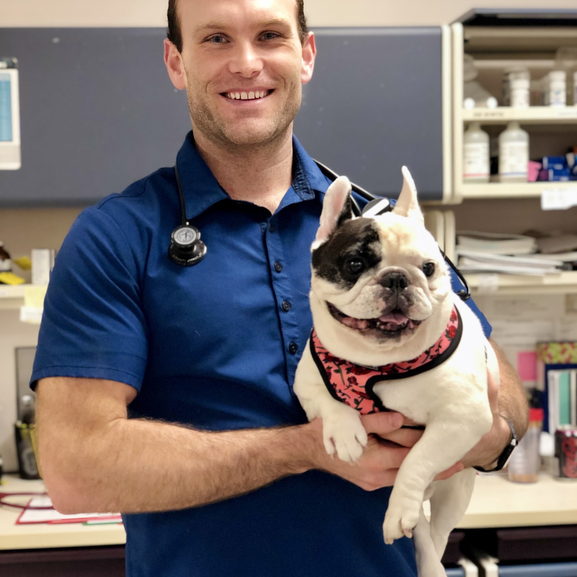 Medical District Veterinary Clinic at Illinois Chicago