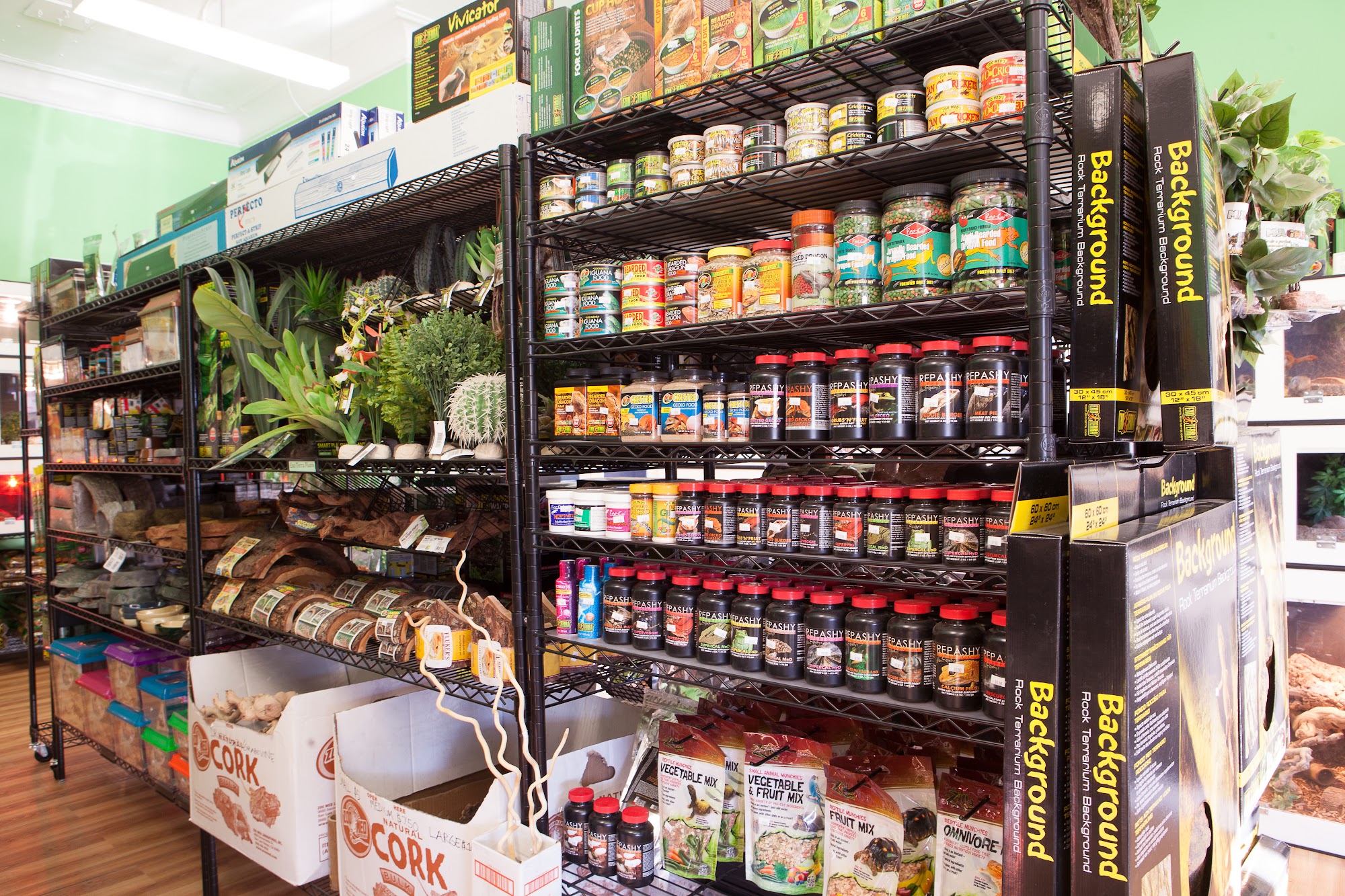 Curious Creatures Chicago