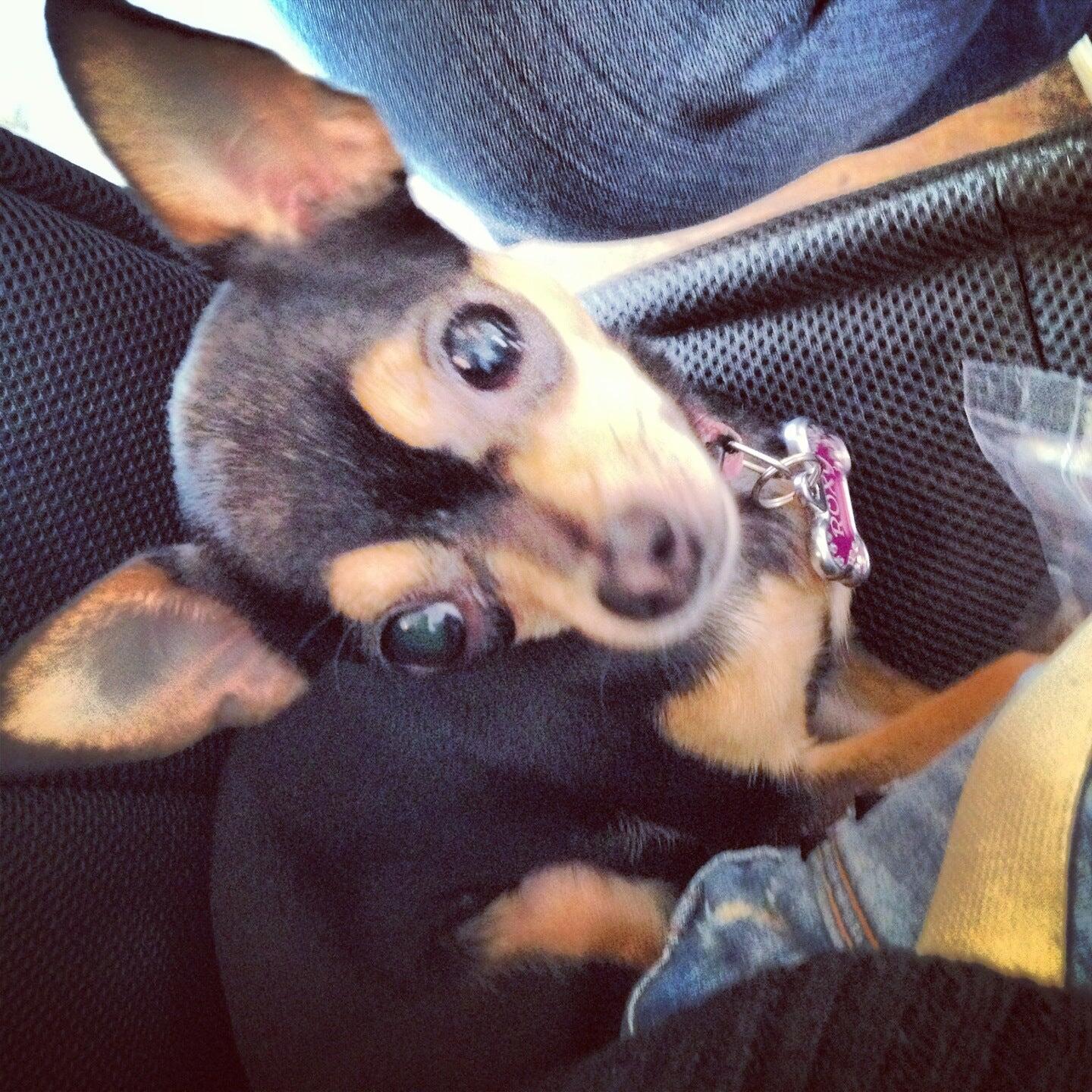 Photo credit: nextdoor