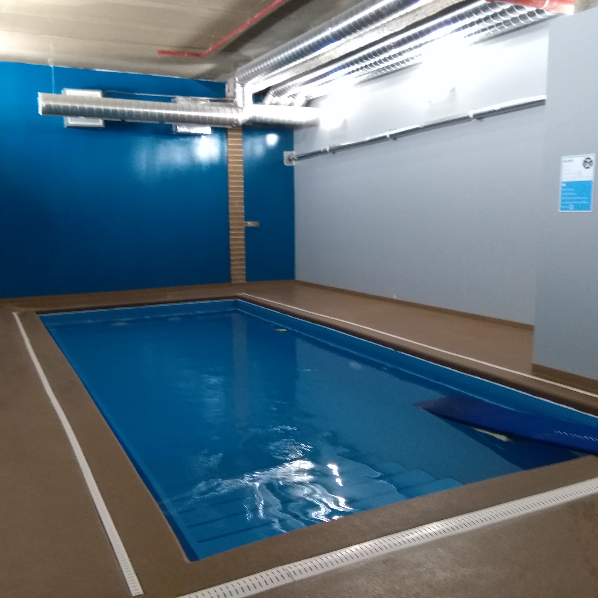 Doggy Paddle Aquatic Center For Dogs Chicago