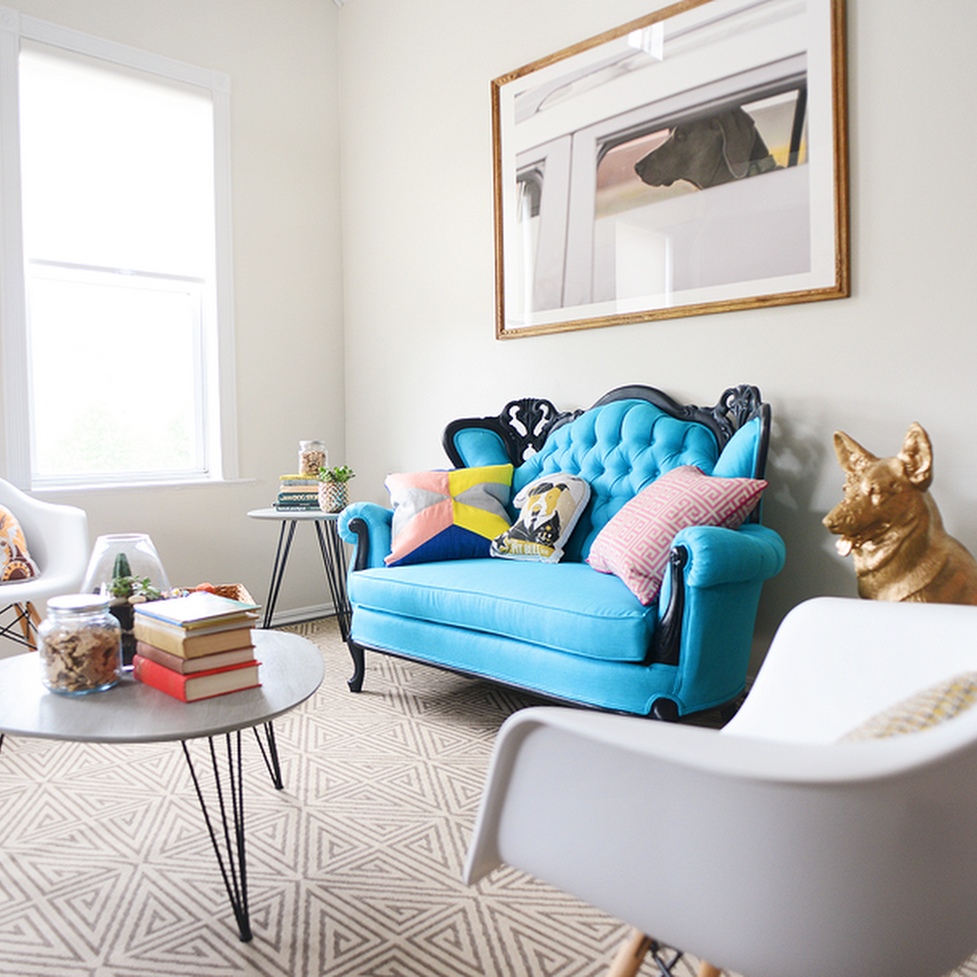 One Tail at a Time - Adoption Center Chicago