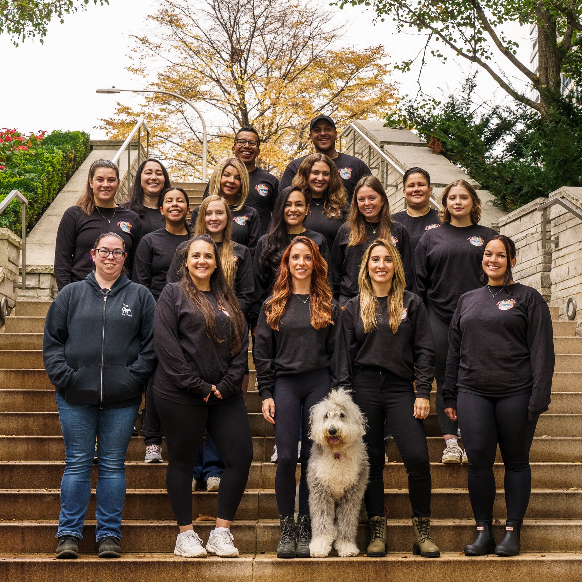 Paws For Walks Chicago LLC Chicago