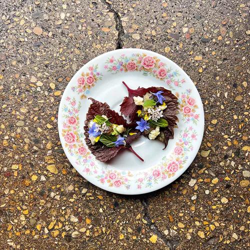 Photo credit: michelin
