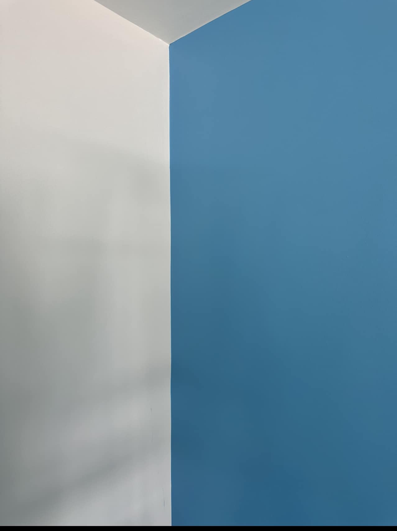 Charlie's Painting & Services