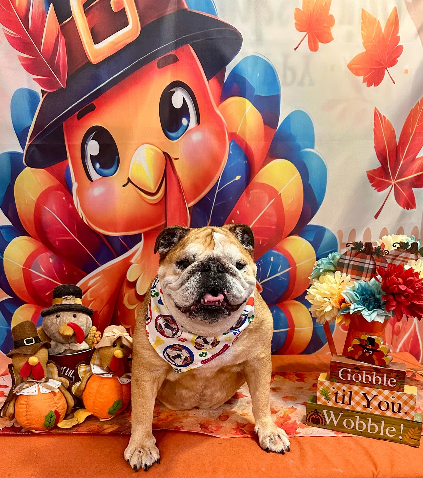 Trophy Paws Pet Grooming Chicago