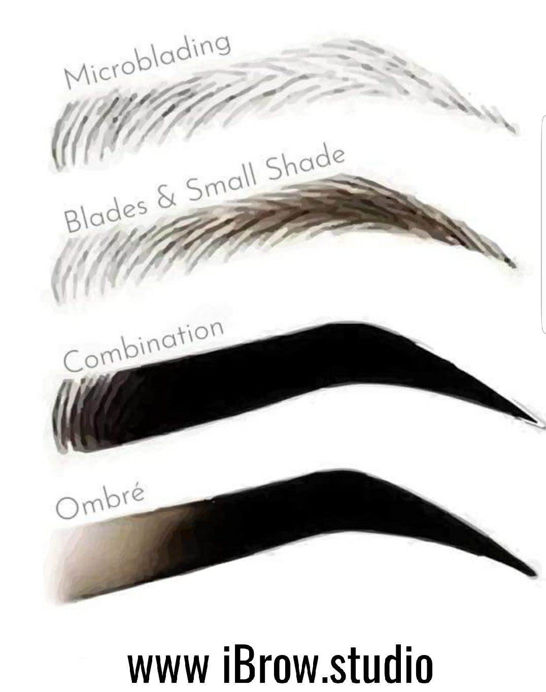 iBrow. studio of fine tweezing