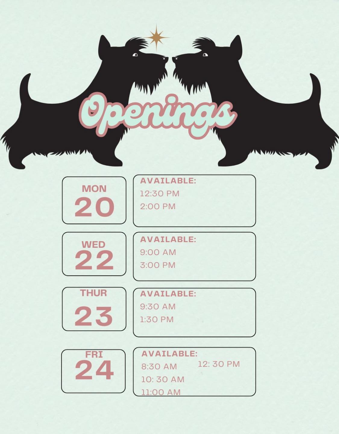 The Friendly Paws Grooming Shop Chicago