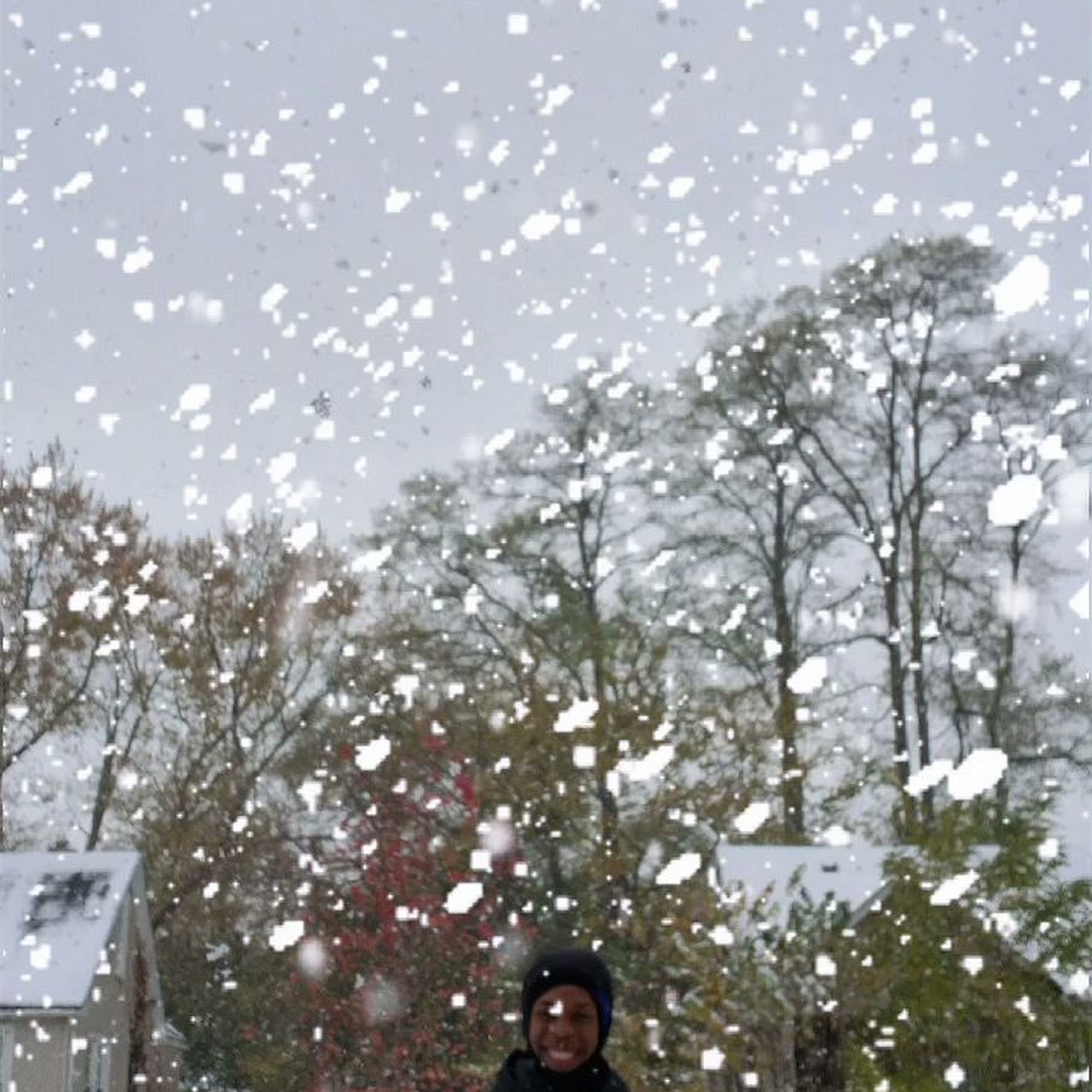 TheFruenz snow shovel job