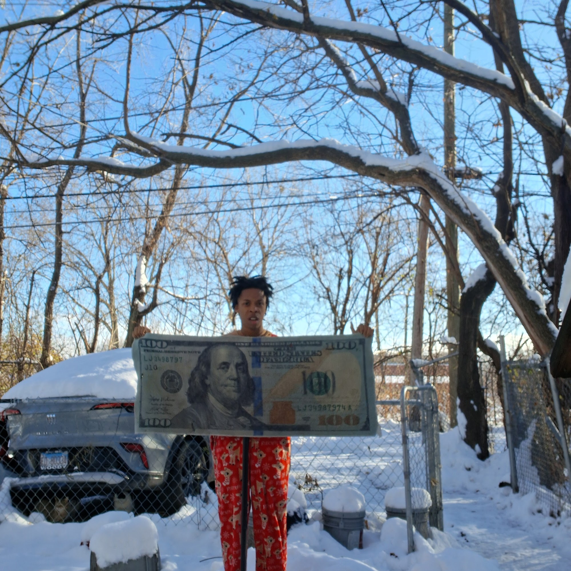 TheFruenz snow shovel job